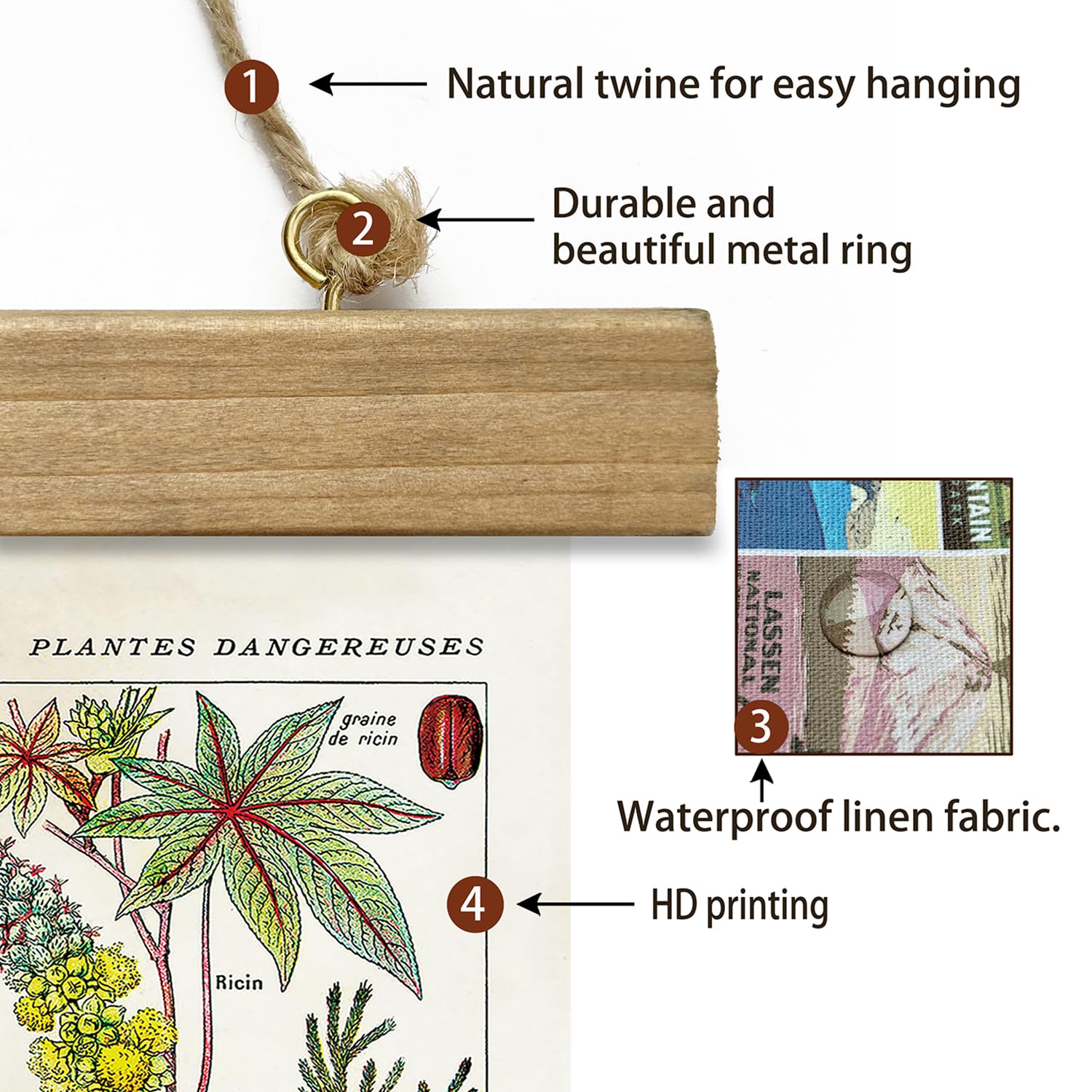 Xiaoaika Vintage Botany Poster With Wooden Frame, Antique Poisonous Plants Chart - Botanical Educational Art With Dangerous Spec