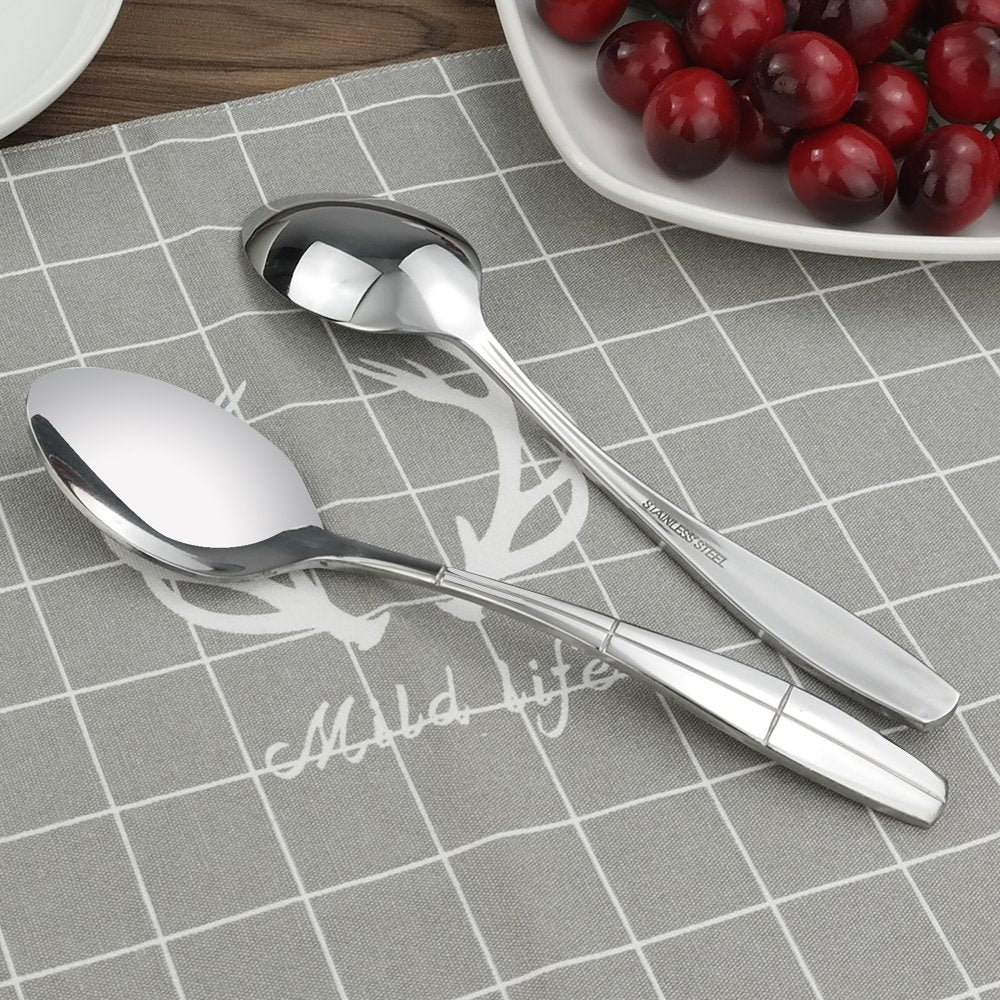 Eagrye 12 Pieces Stainless Steel Dinner Spoons
