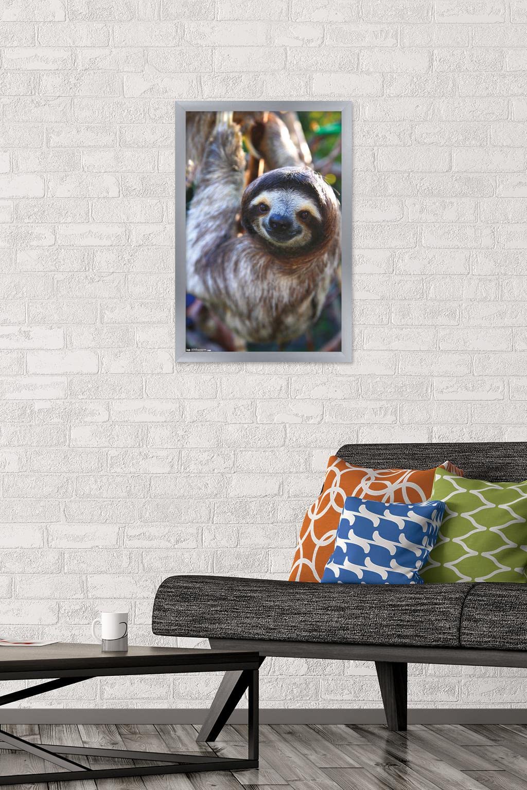 Trends International Sloth - Smile Wall Poster, 14.725'' X 22.375'', Silver Framed Version