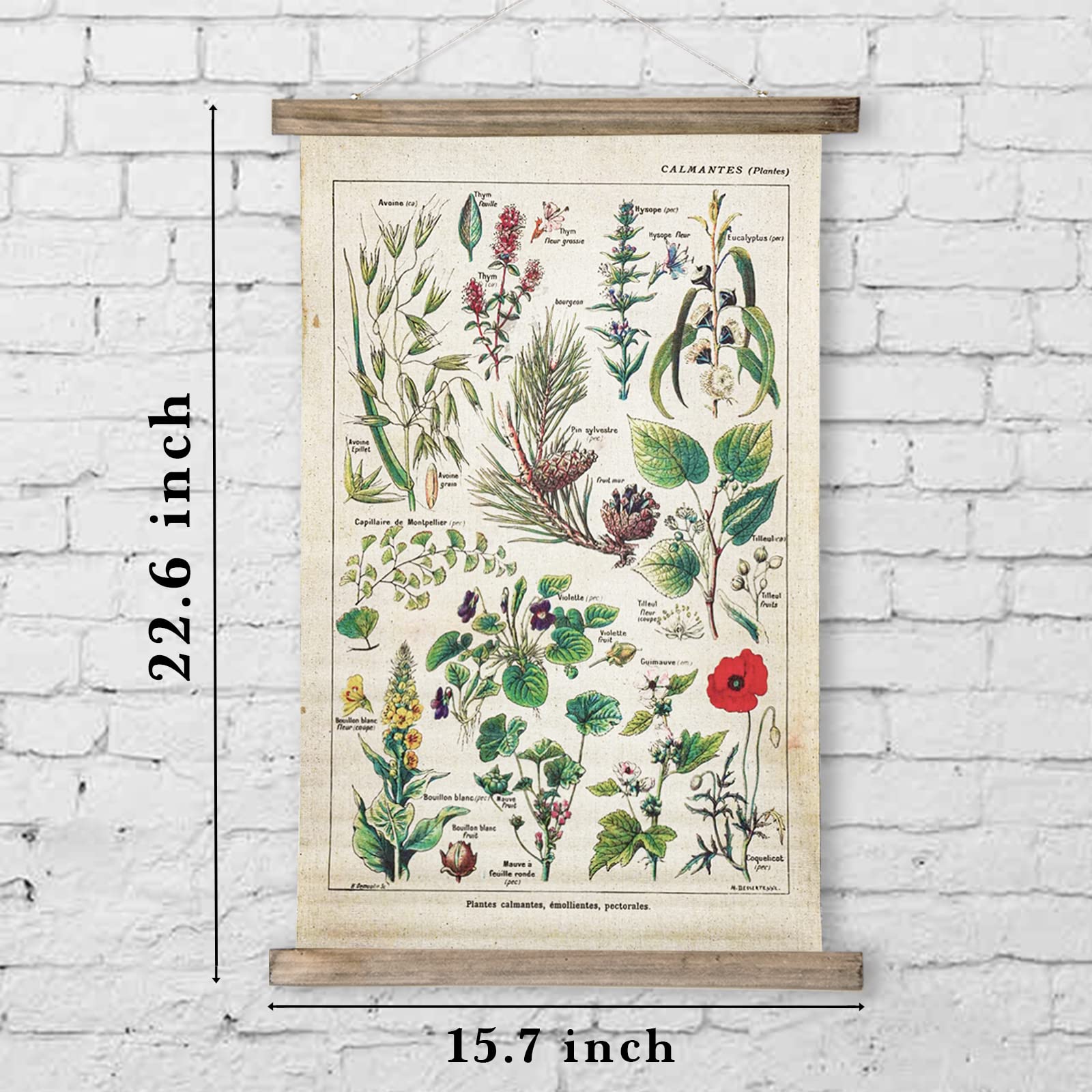 2 Pack Vintage Butterflies Poster Hanger Frame  Retro Style of Wall Art Prints  Printed on Linen with Wood Frames  Ready to Hang