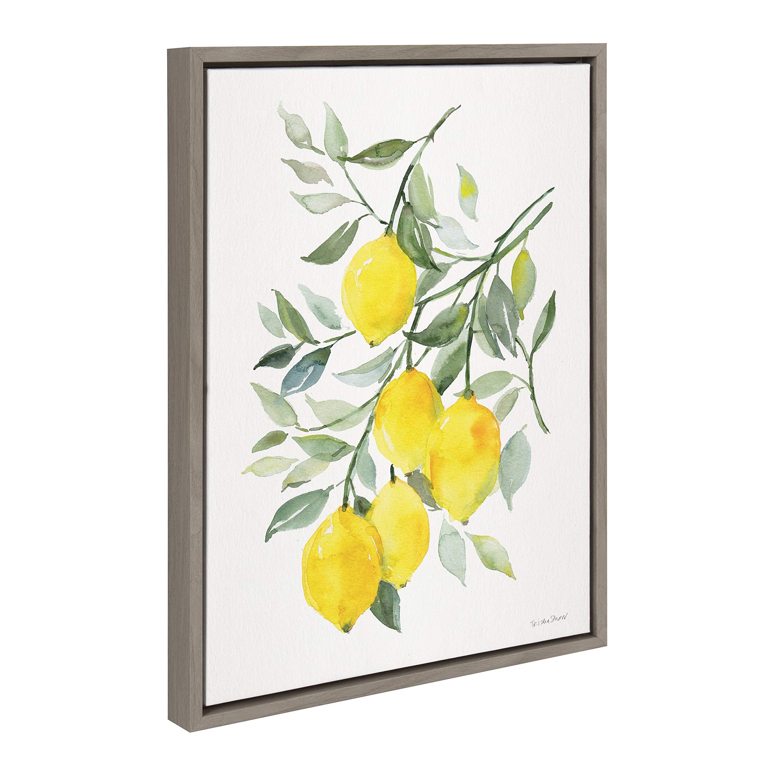 Kate And Laurel Sylvie Lemon Citrus Framed Canvas Wall Art By Patricia Shaw, 18X24 Gray, Decorative Fruit Wall Decor