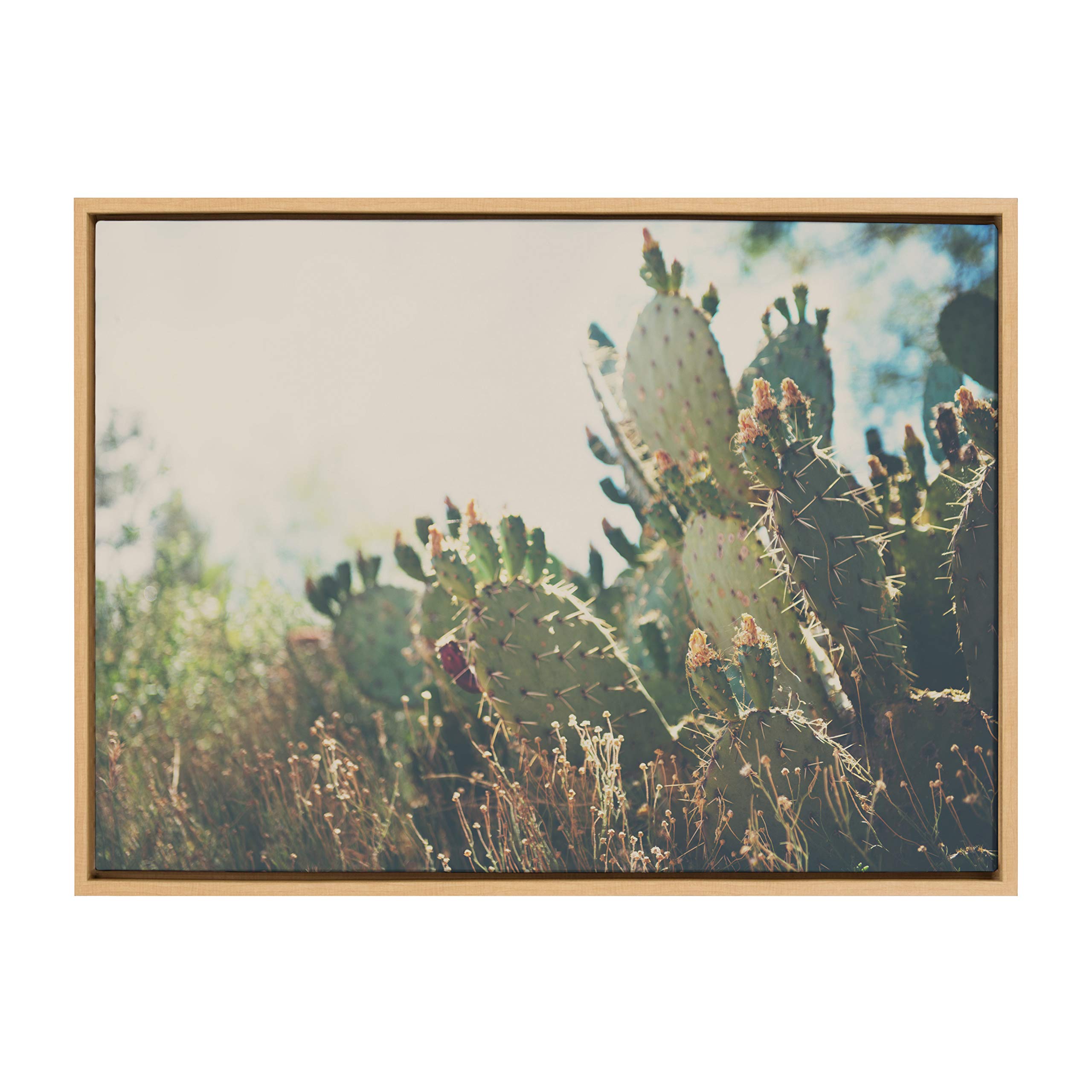 Kate And Laurel Sylvie A Desert Prickly Pear Framed Canvas Wall Art By Laura Evans, 23X33 Natural, Beautiful Southwest Wall Deco