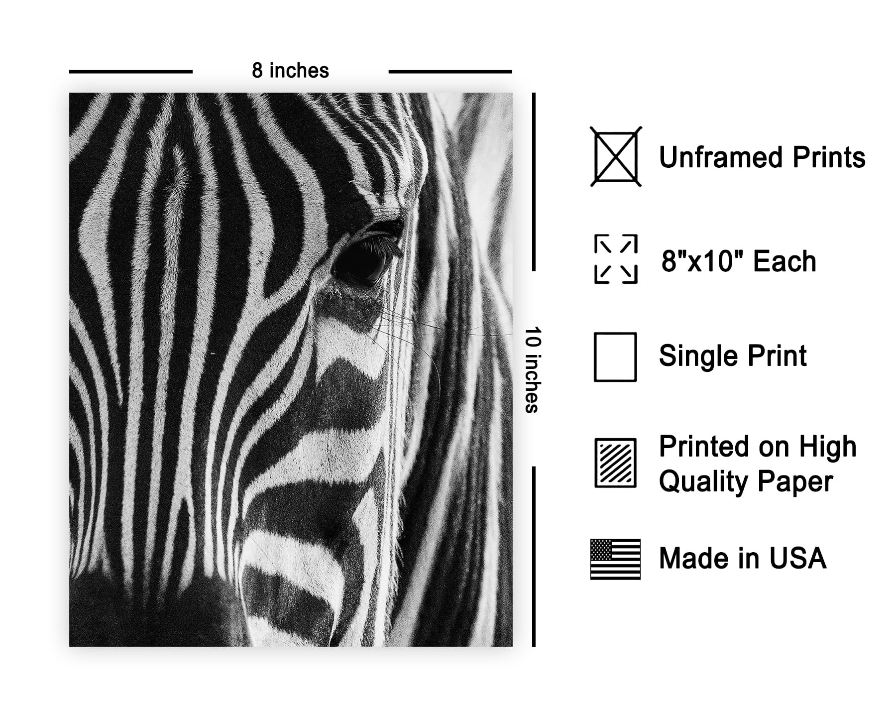 Poster Master Photograph Poster - Retro Animal Print - Striped Zebra, Face Close Up, Safari, Wildlife, Black and White - 8x10 UN