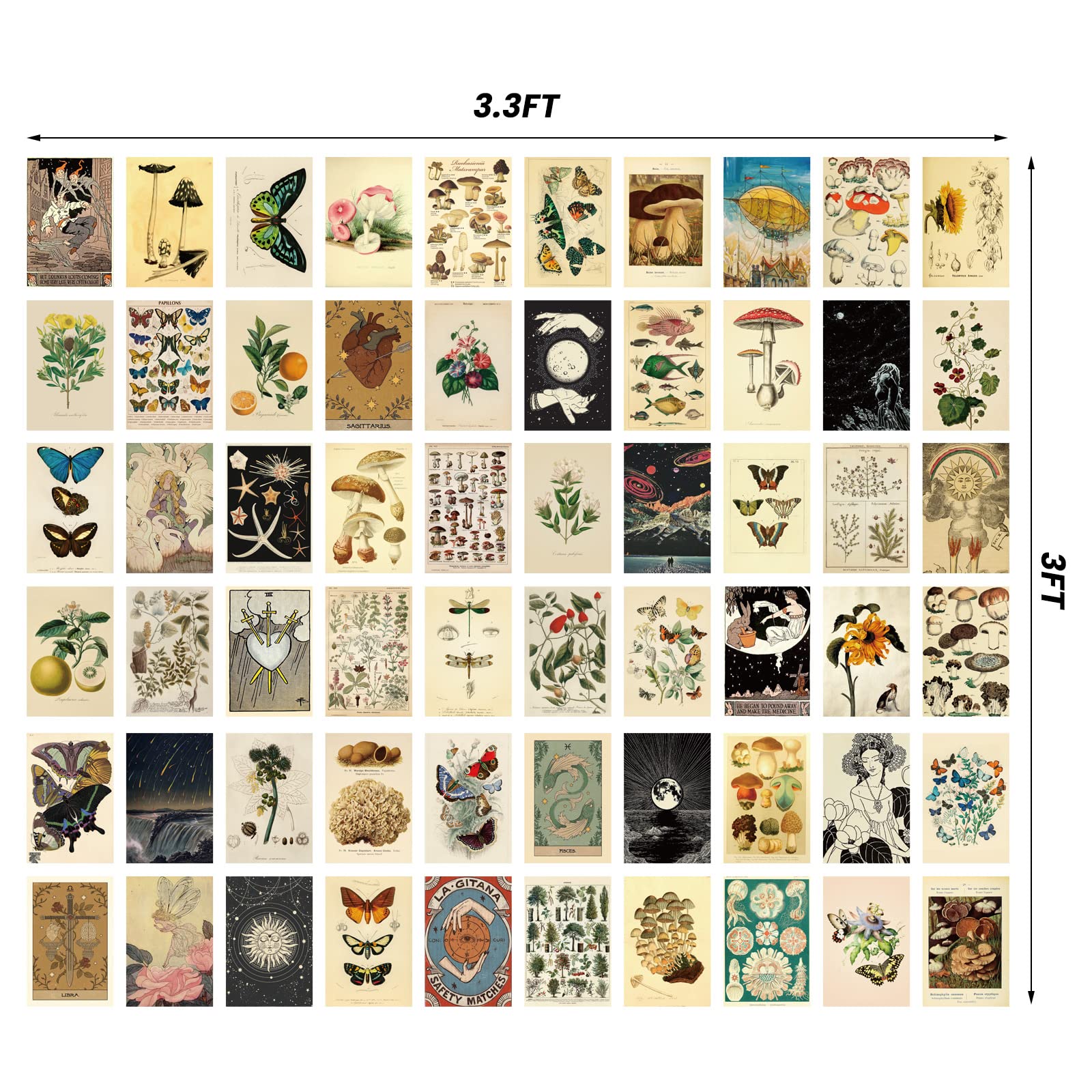 Containlol 60 Pcs Vintage Wall Collage Kit Botanical Illustration Tarot Aesthetic Print Vintage Wall Prints Vintage Cards Photo