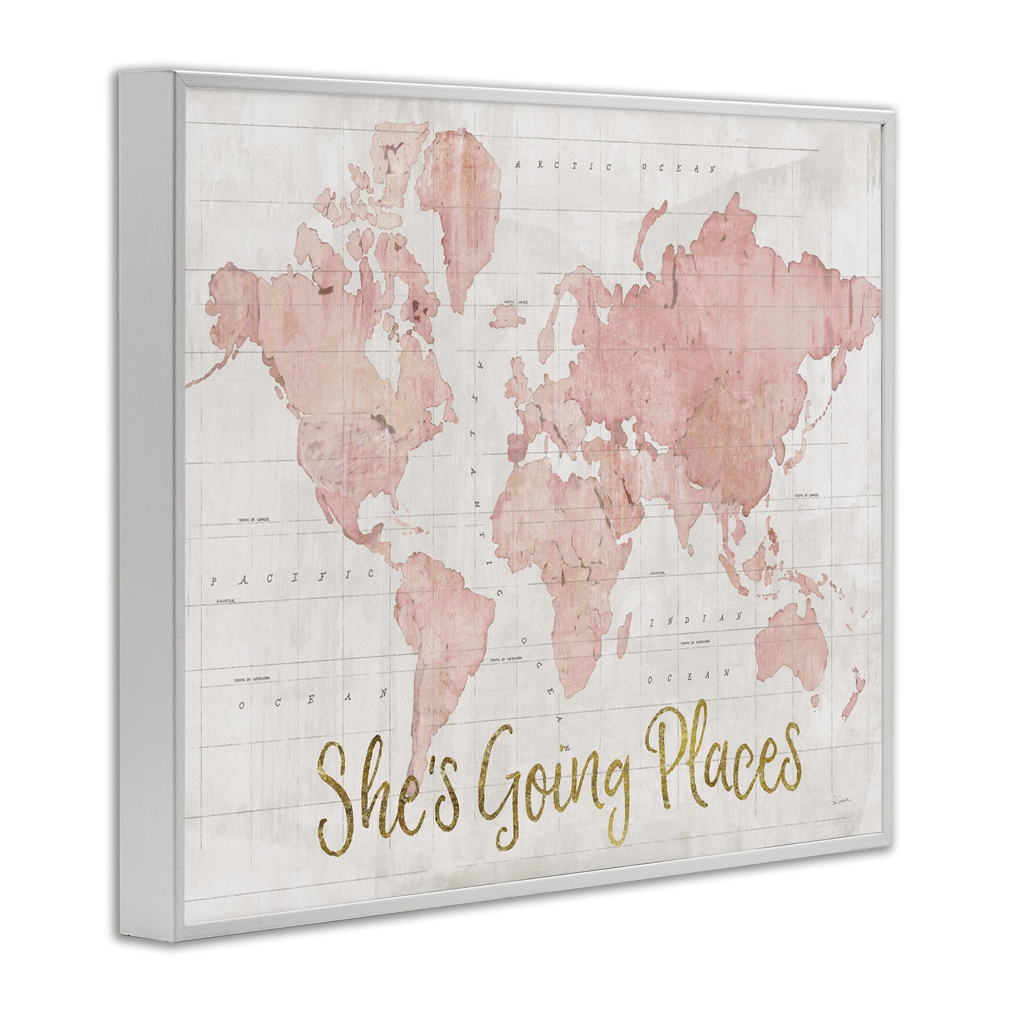 Stupell Industries She'S Going Places Quote Pink Watercolor World Map, Design By Sue Schlabach White Framed Wall Art, 16 X 20, B