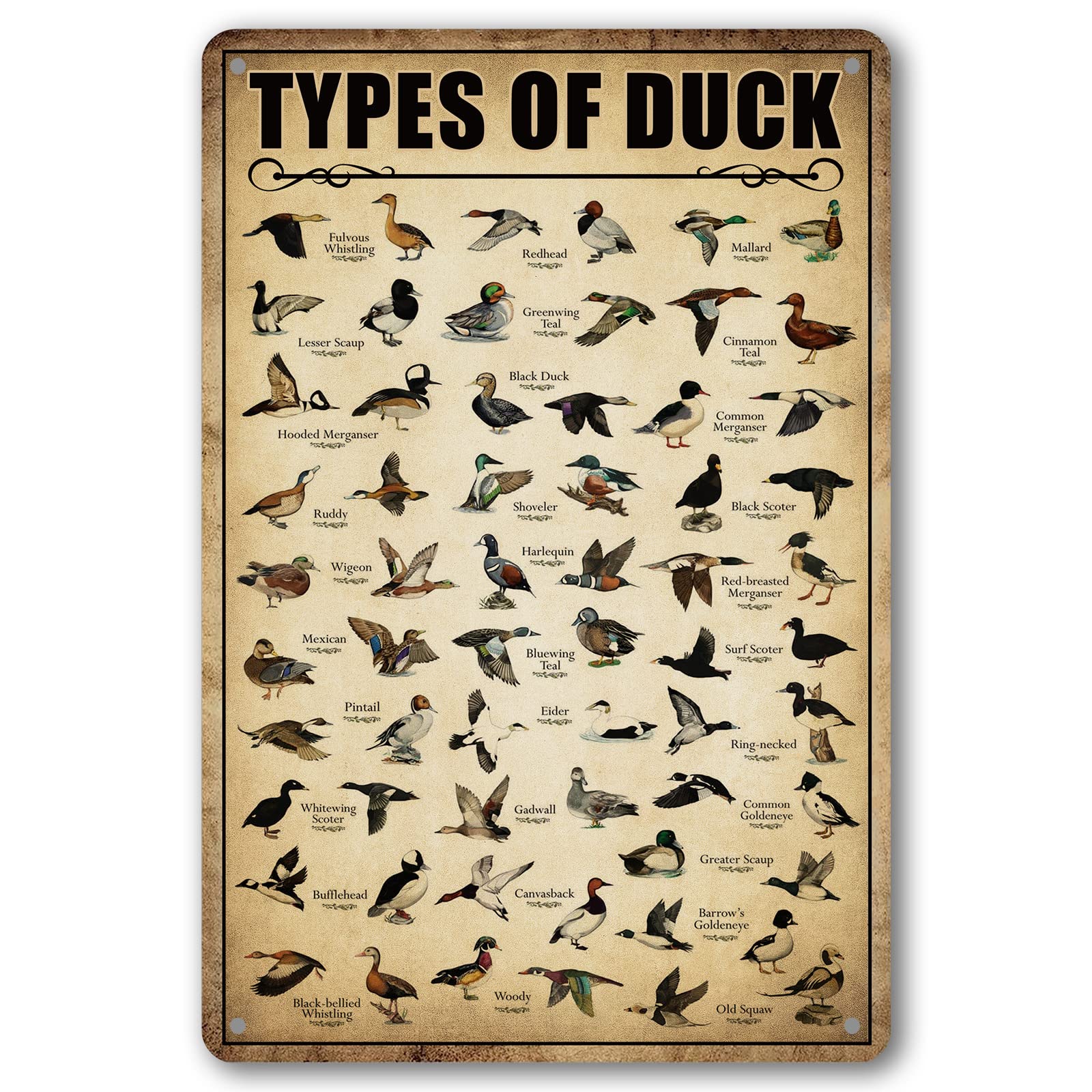 Type Of Duck Tin Sign Duck Hunting Decor Mallard Ducks Knowledge Metal Signs Vintage Duck Hunting Decorations For Home Kitchen B