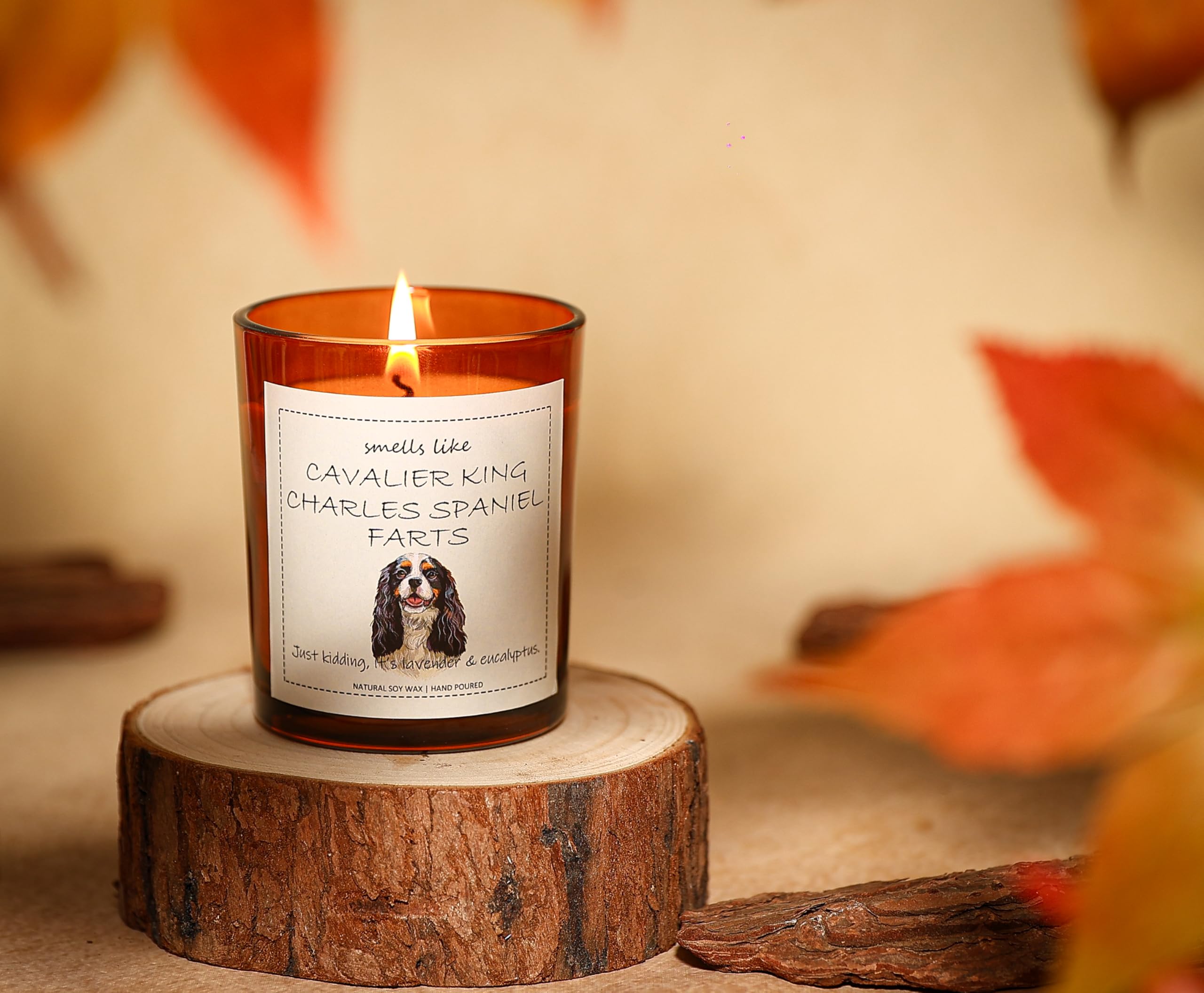 Cavalier King Charles Spaniel Gifts & Decor, King Charles Cavalier Gift, Dog Mom Gifts, Dog Farts Candle - Lavender & Eucalyptus