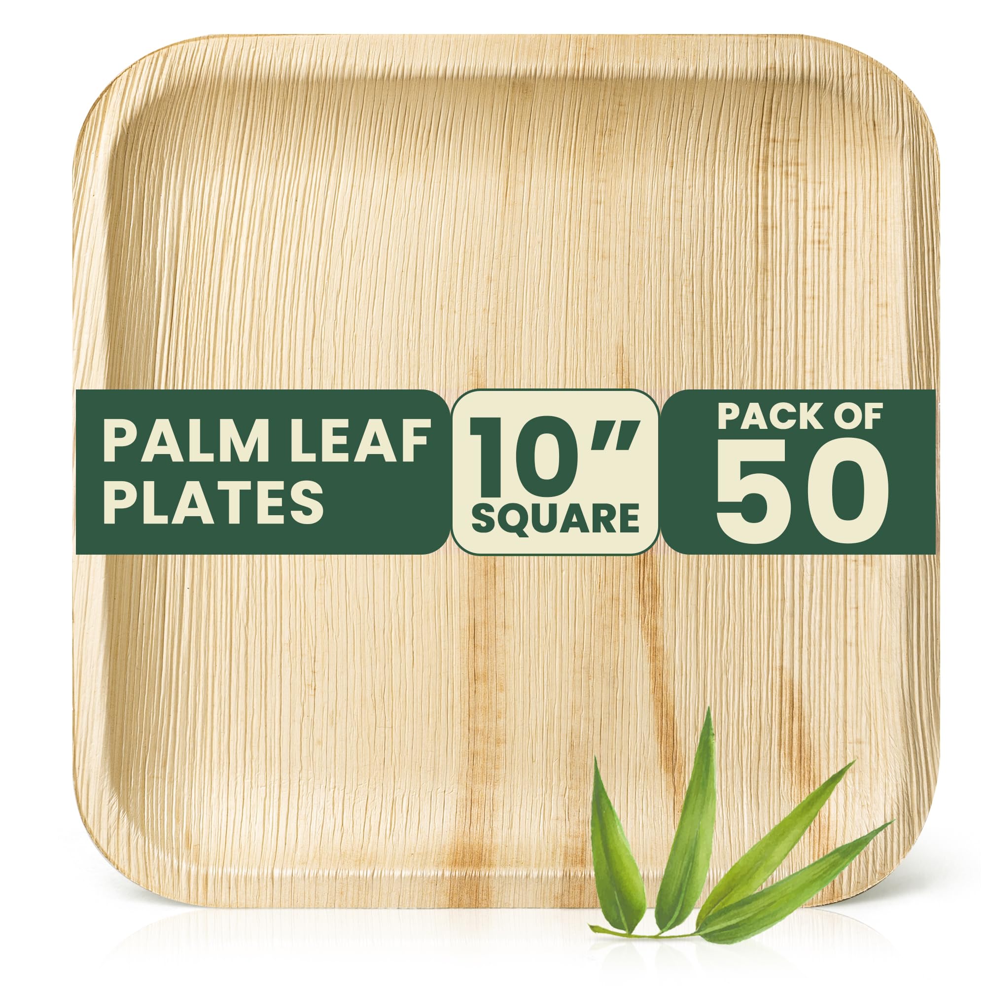 Econoroth 100% Compostable Palm Leaf Plates 10 Inch – 50 Pcs Premium Appetizer Plates like Disposable Bamboo plates, Eco-Friendly, Microwave Safe, Ideal for Christmas and all such occasions-Like New Condition
