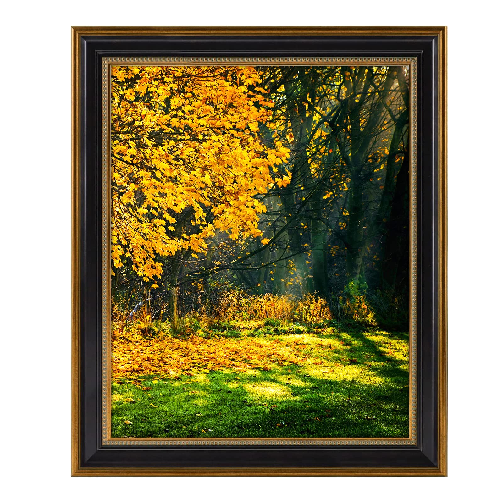 Space Art Deco, 16x20 Picture Frame without Mat for 16x20 Poster/Photo/Print, Shatter-Resistant Real Glass Wall Mounting Display