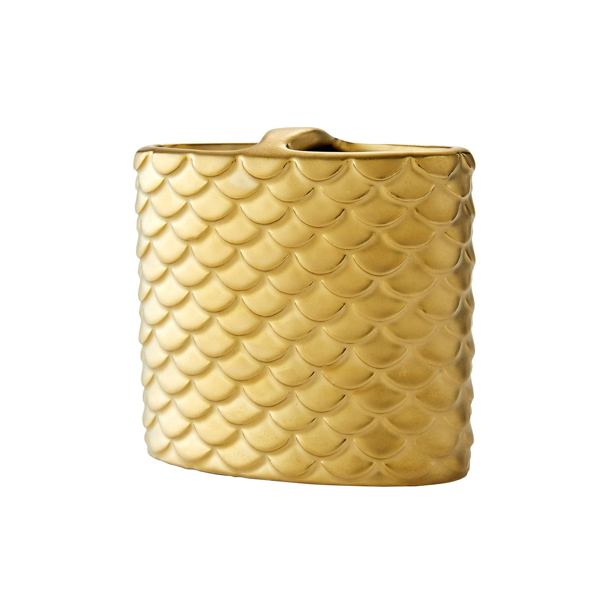 Skl Home Gold Koi Toothbrush Holder