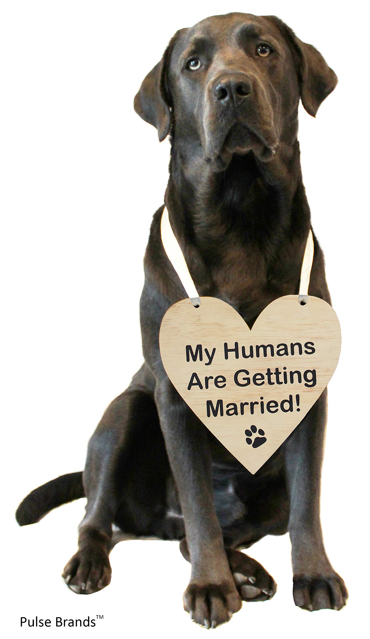 Pulse Brands Engagement Photo Prop Sign - My Humans are Getting Married - Engagement Gifts - Bride to Be - Engaged - Engagement 