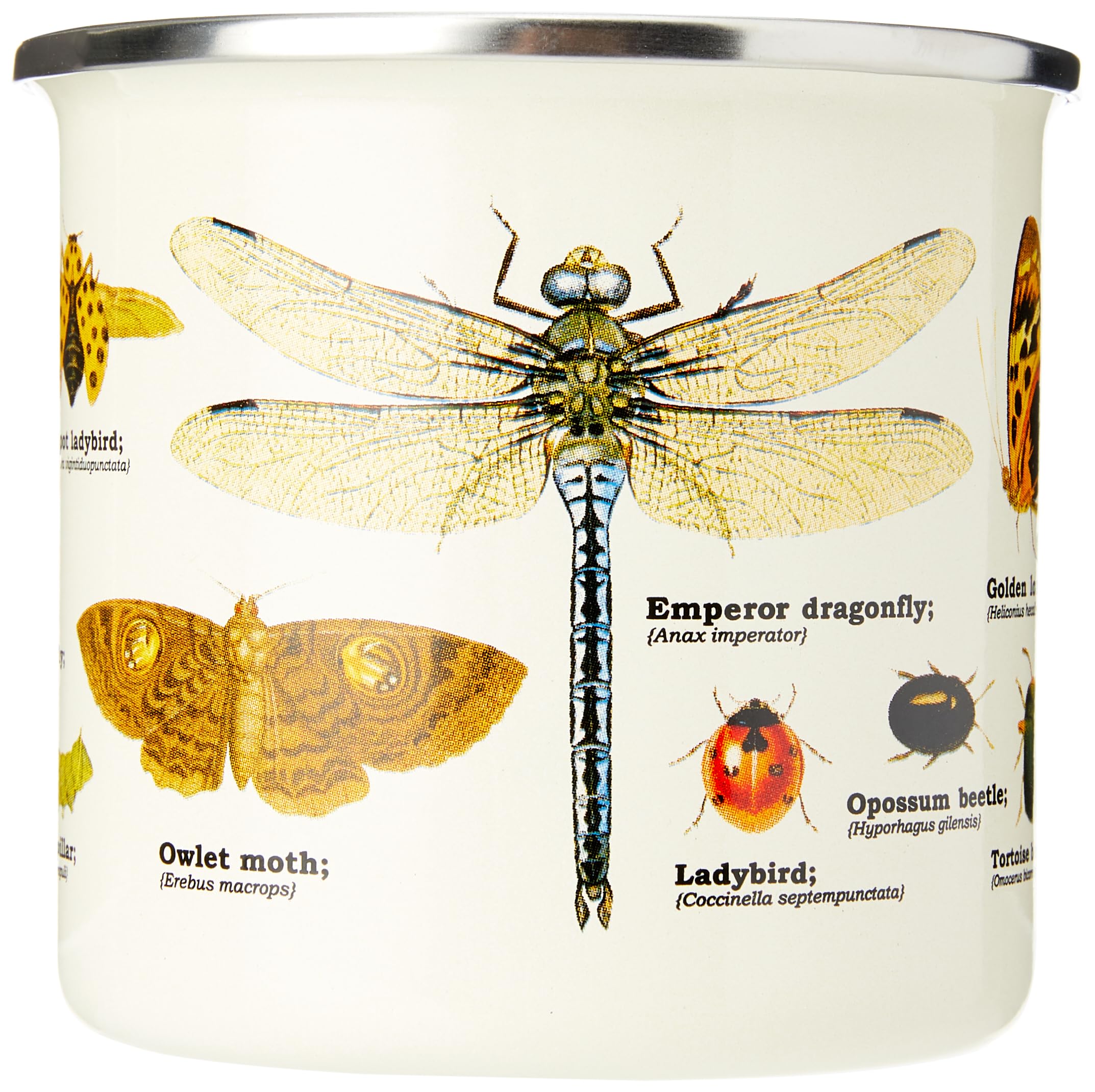 Gift Republic Insect Enamel Outdoor Camping Mug Large Metal Coffee Cup Garden Bugs Nature Foraging Hiking Gardening Gift Durable