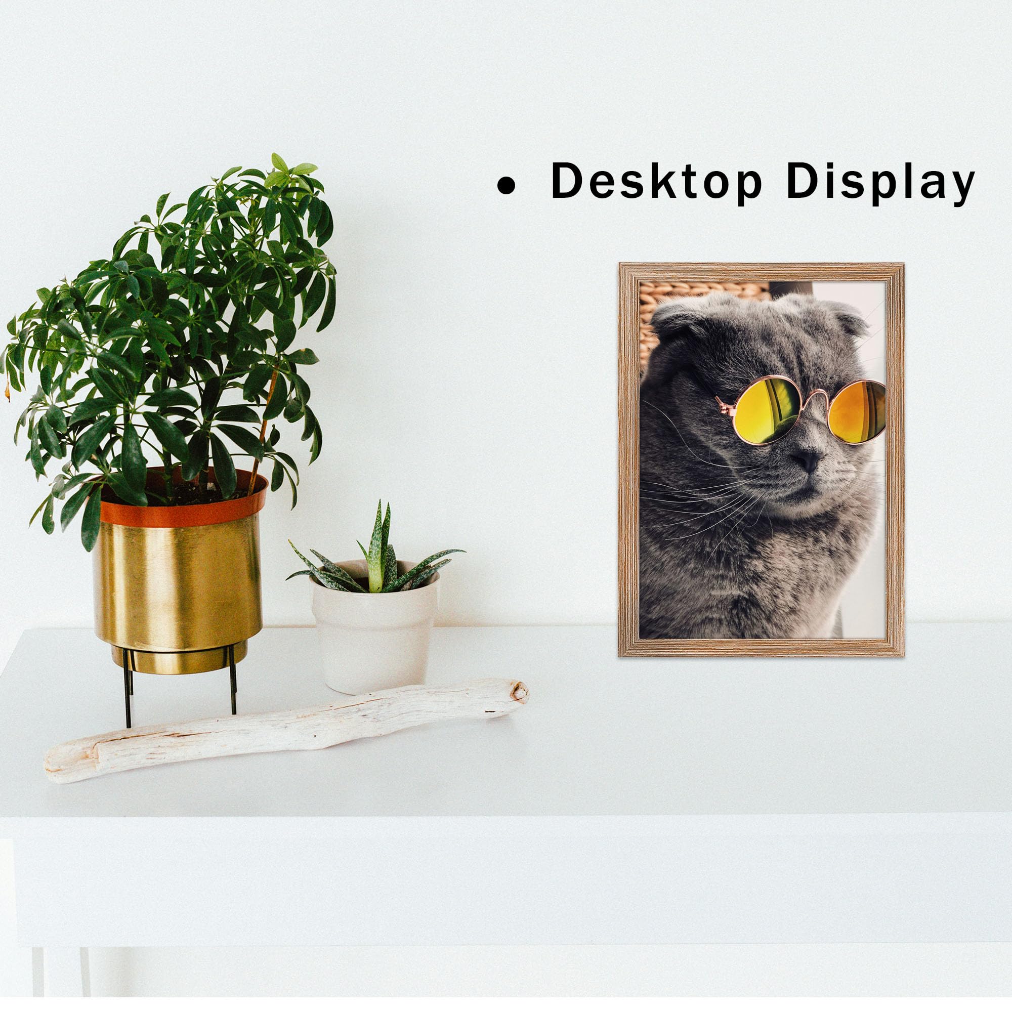 THCASITO Picture Frames 8x12 Rustic Brown Photo Frames without Mat for Wall and Tabletop Decor, Set of 2