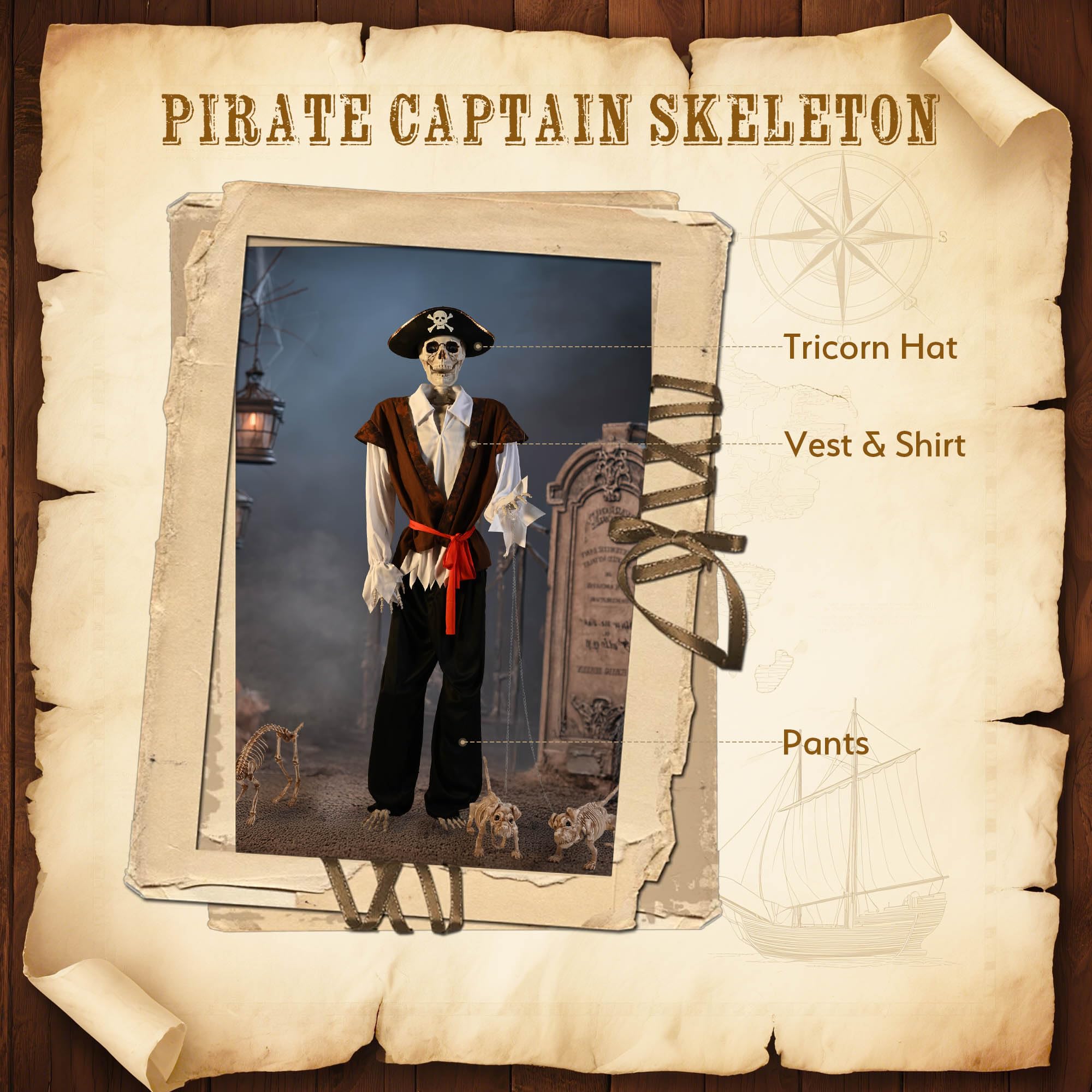 AW Skeleton Pirate Captain Life Size 5.4FT Halloween Decoration Movable Joints Human Bone with Detailed Costume Outdoor Yard Ind
