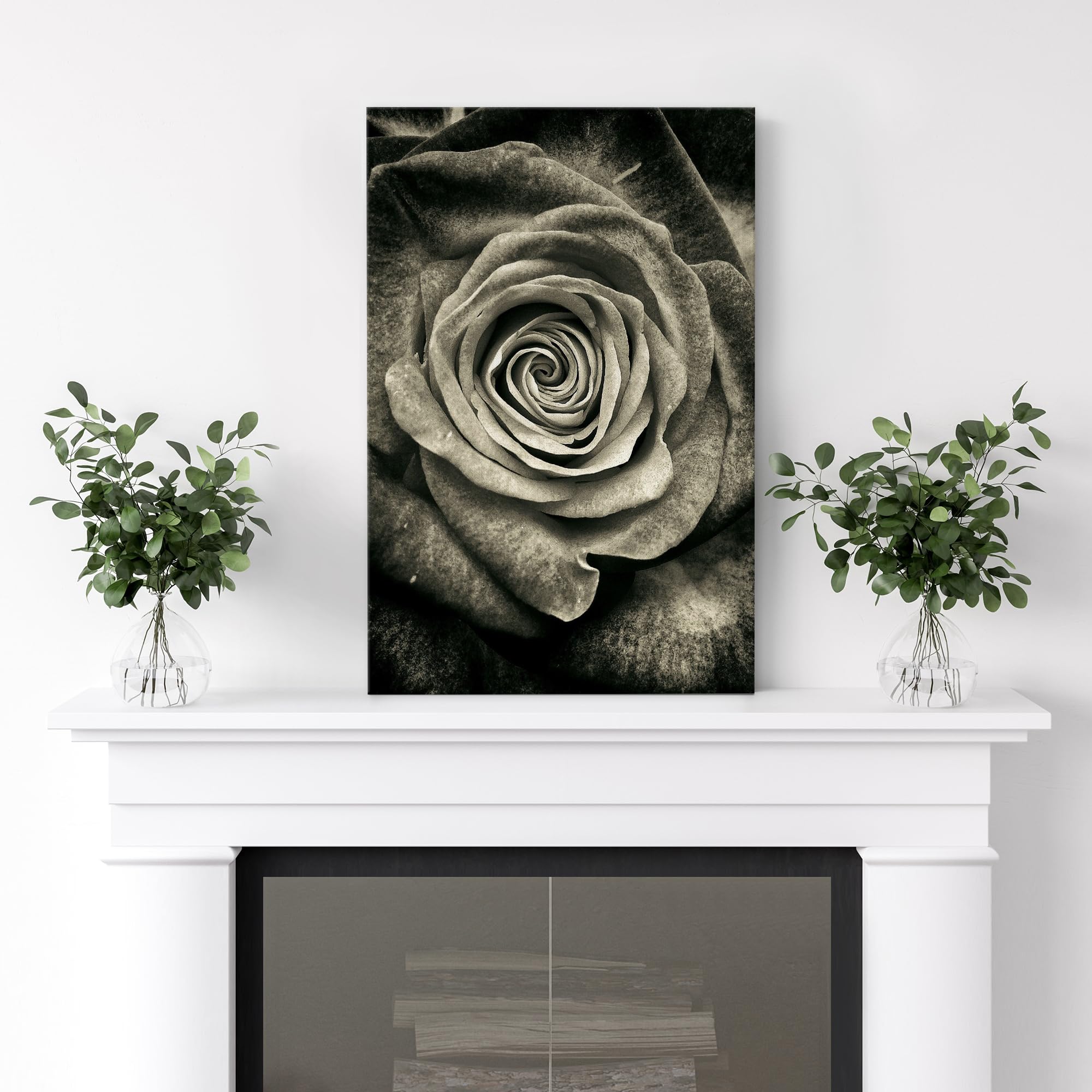 Wall26 Canvas Print Wall Art Elegant Monochrome Rose Timeless Floral Nature Wilderness Photography Modern Art Decorative Country
