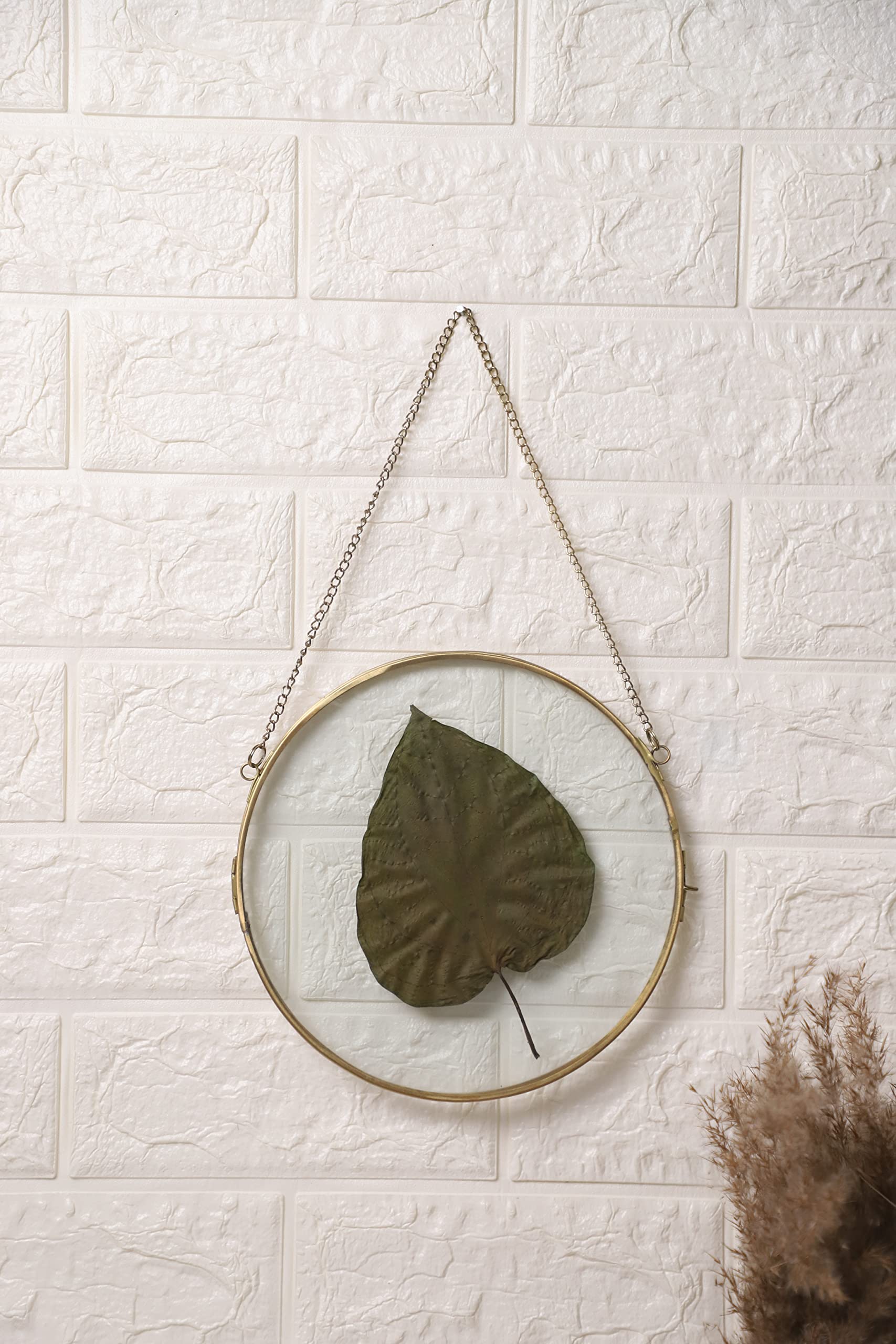Spaziomaker Collections Wall Hanging Round Brass Glass Photo Frame For Dried Flowers, Pressed Flowers, Poster, Double Glass, Flo