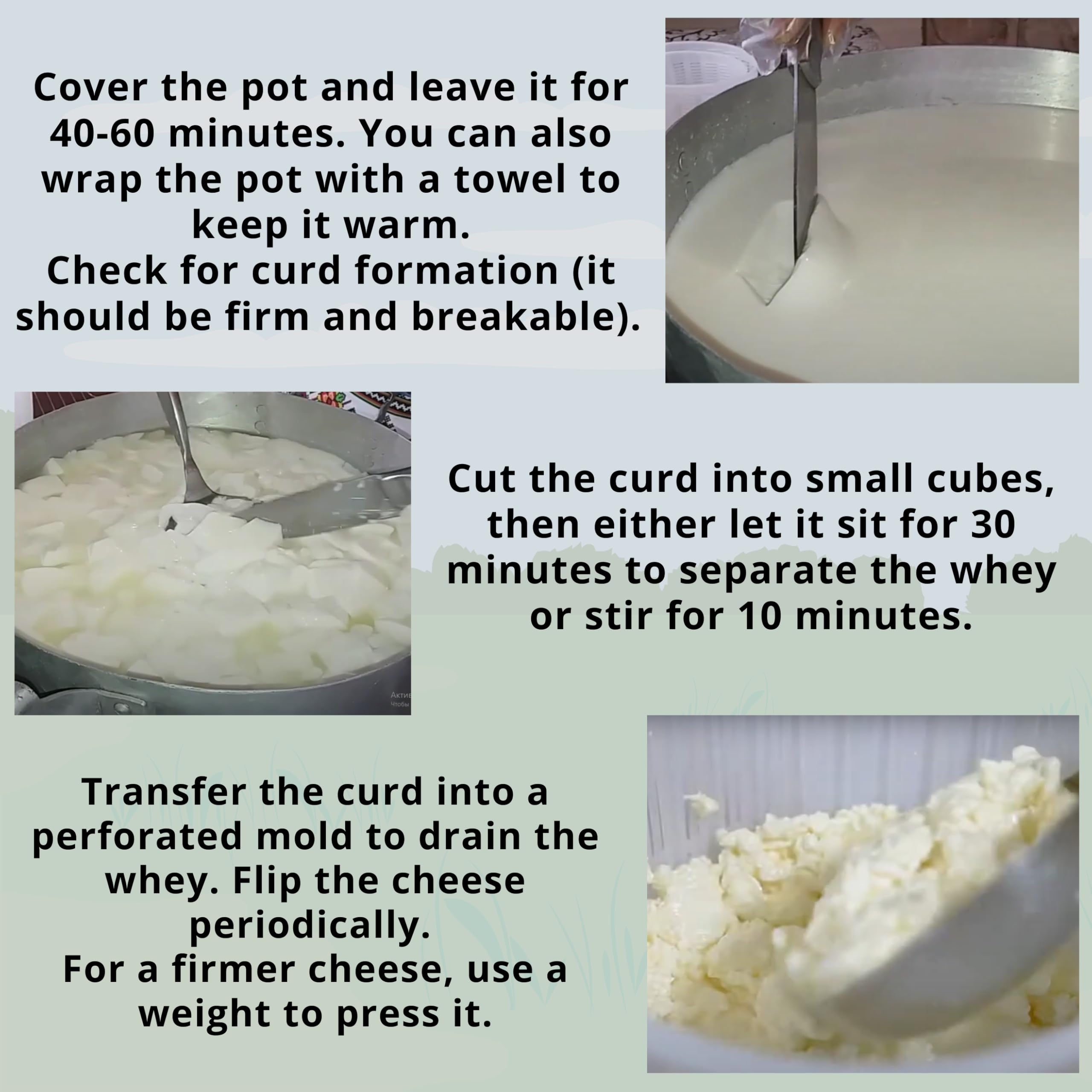 LOVARE Meito Rennet for Cheese Making - Cheese Making Enzymes - Rennet for Making Fresh Cheese 4 x 1 gr. (for 105 gallons/400L of milk) by QG group
