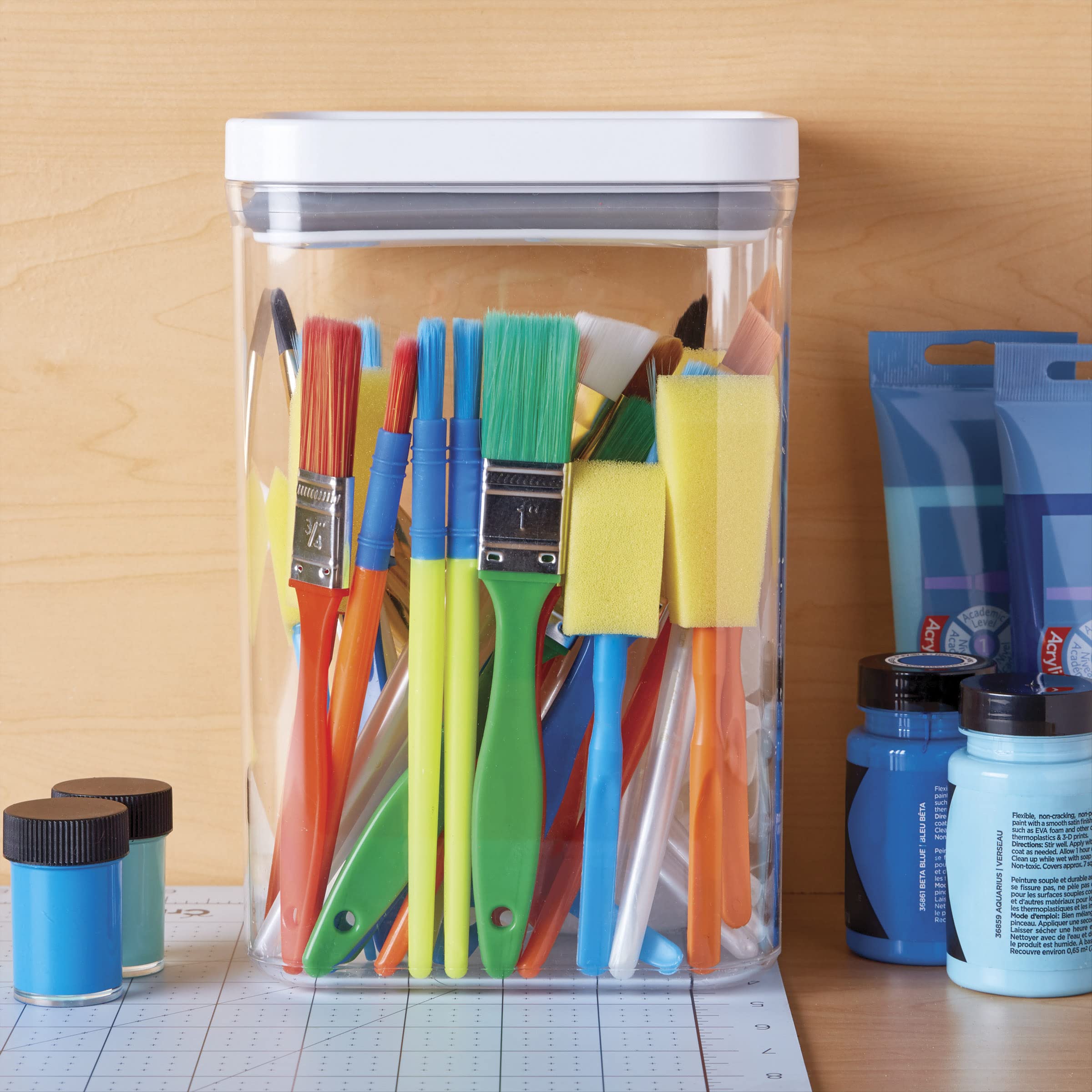 Copco Food And Organization Storage Container With Airtight Lid, 4.43-Quart, Clear
