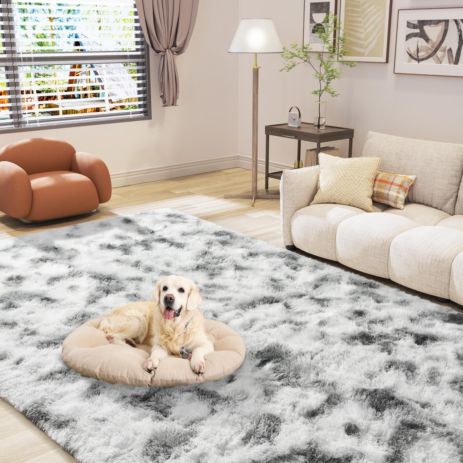 LOCHAS Ultra Soft Indoor Modern Area Rugs 3x5, Fluffy Living Room Carpets for Children Bedroom Home Decor Nursery Rug, Tie-Dyed