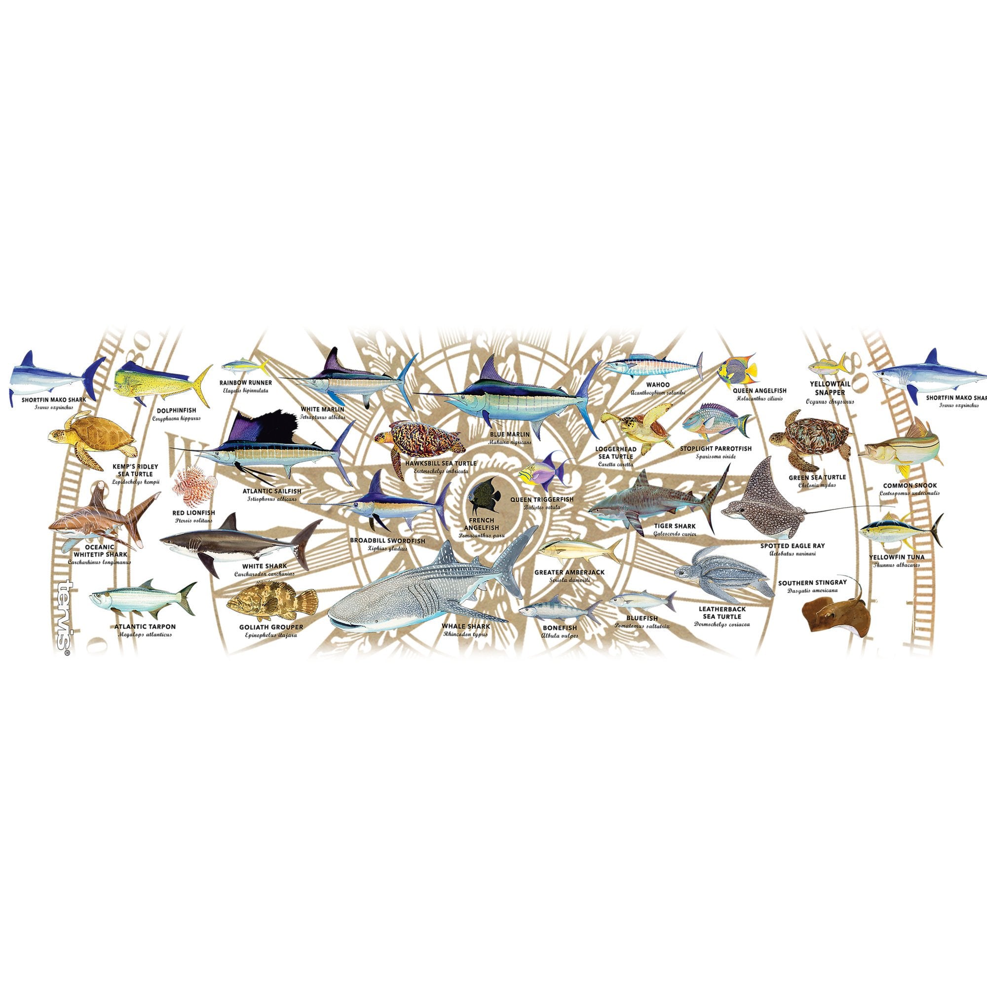 Tervis Guy Harvey Charts Made In Usa Double Walled Insulated Tumbler Travel Cup Keeps Drinks Cold & Hot, 16Oz Mug, Classic