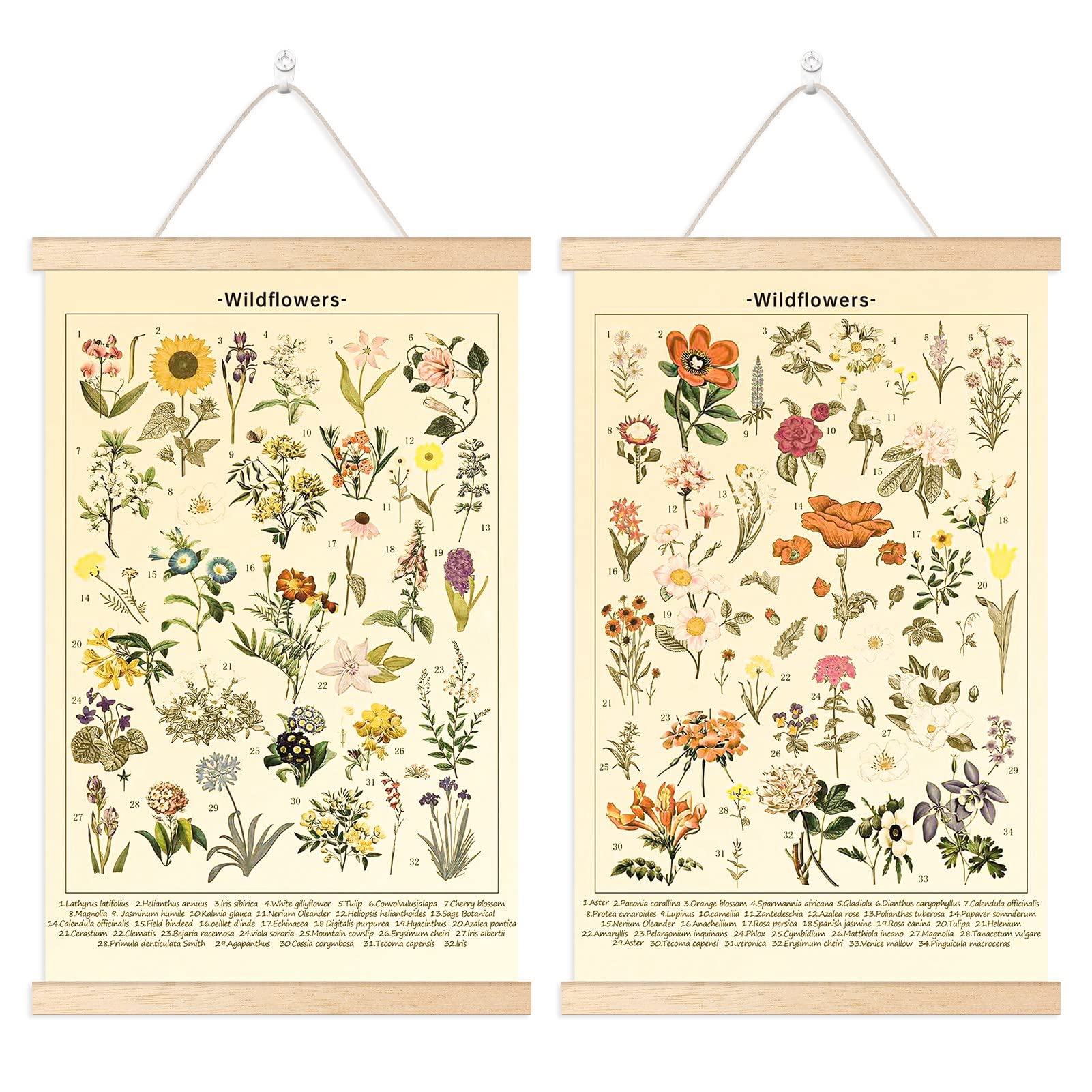 Chenkaiyang 2 Pcs Vintage Hanging Poster,Flowers Wall Hanging Botanical Rustic Retro Wall Art Prints Flower Chart Posterfor Livi