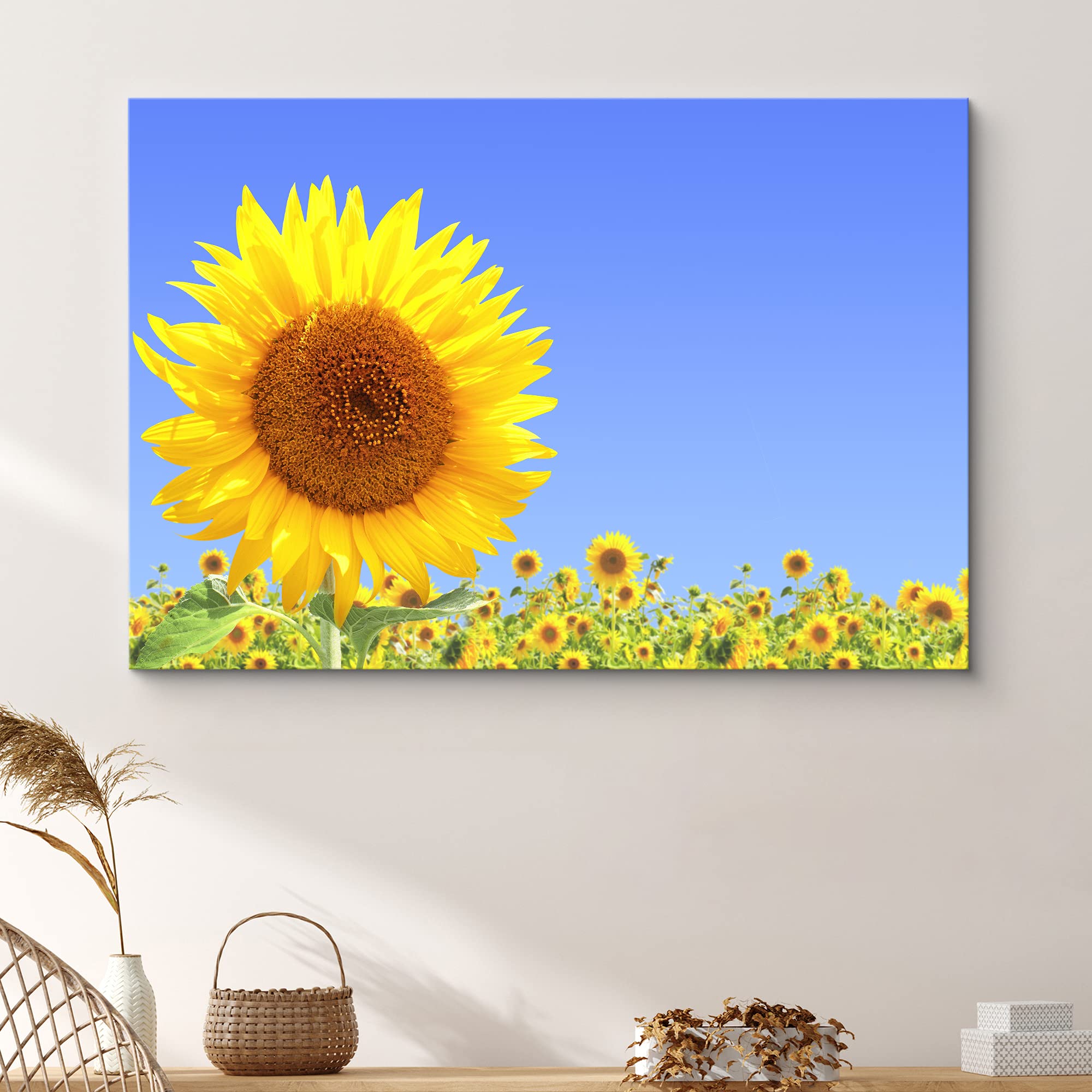 Signford Canvas Print Wall Art Sunflower Closeup In Field Floral Plants Photography Realism Contemporary Scenic Colorful Multico