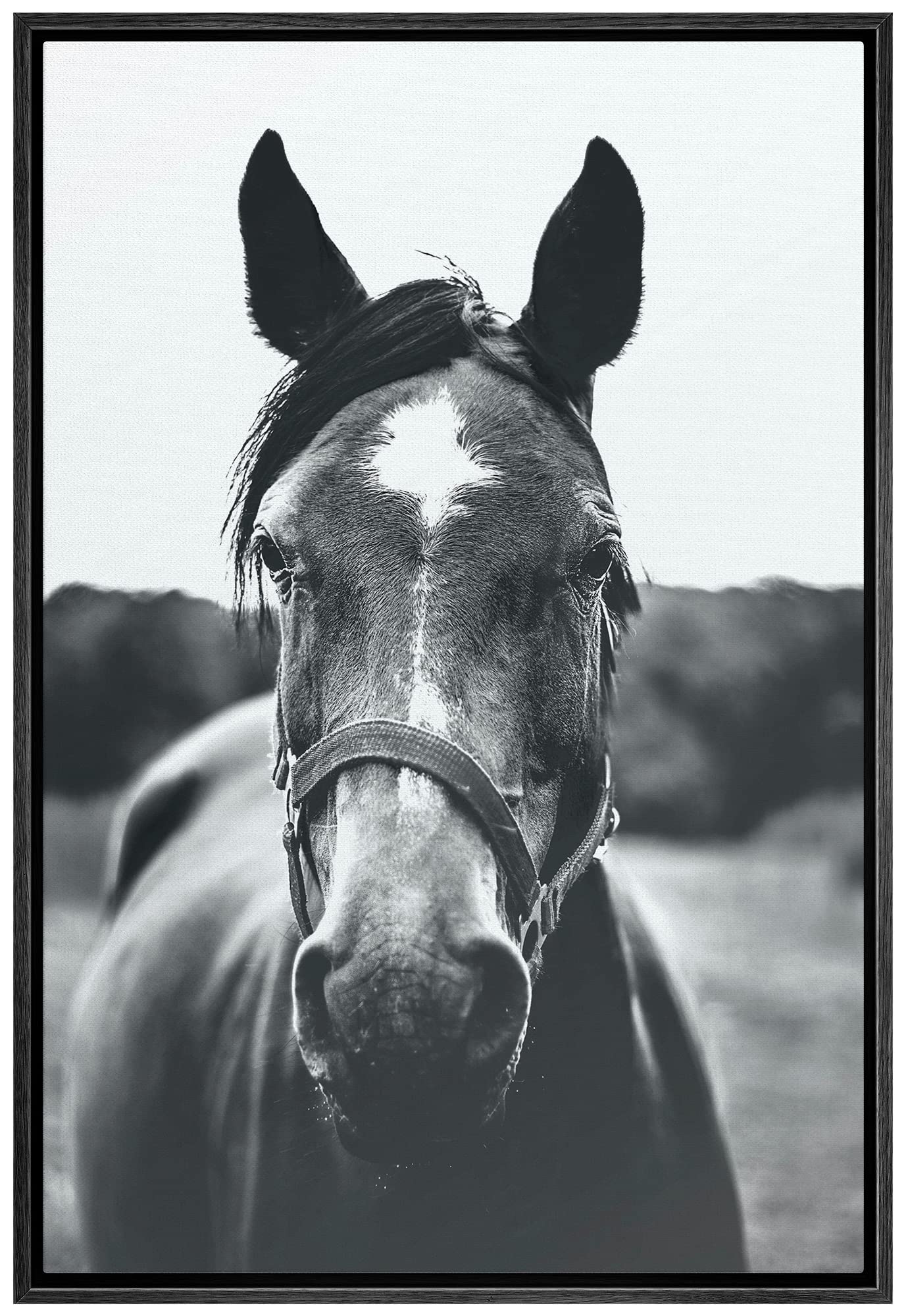 Signwin Framed Canvas Wall Art High Contrast Horse Animals Black And White Duotone Expressive Grey Horse Living Room Photography