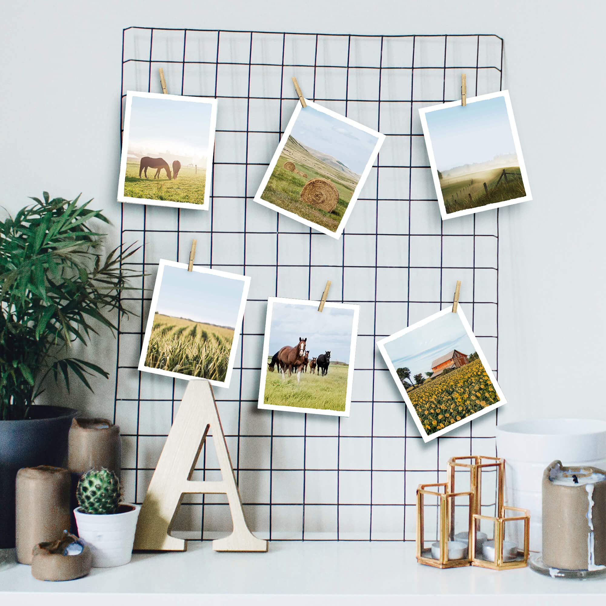 Color Play Rural Landscape Pictures Farmhouse Wall Art Set Of 6 Barn Prints Horse Straw Bales Grassland Photography For Home Wal