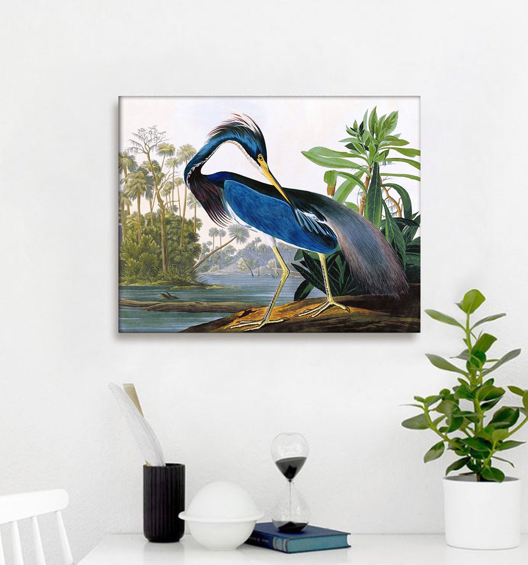 Niwo Art - Louisiana Heron, By John James Audubon. The Birds Of America Reproductions. Giclee Print Acrylic Coating On Canvas Fo