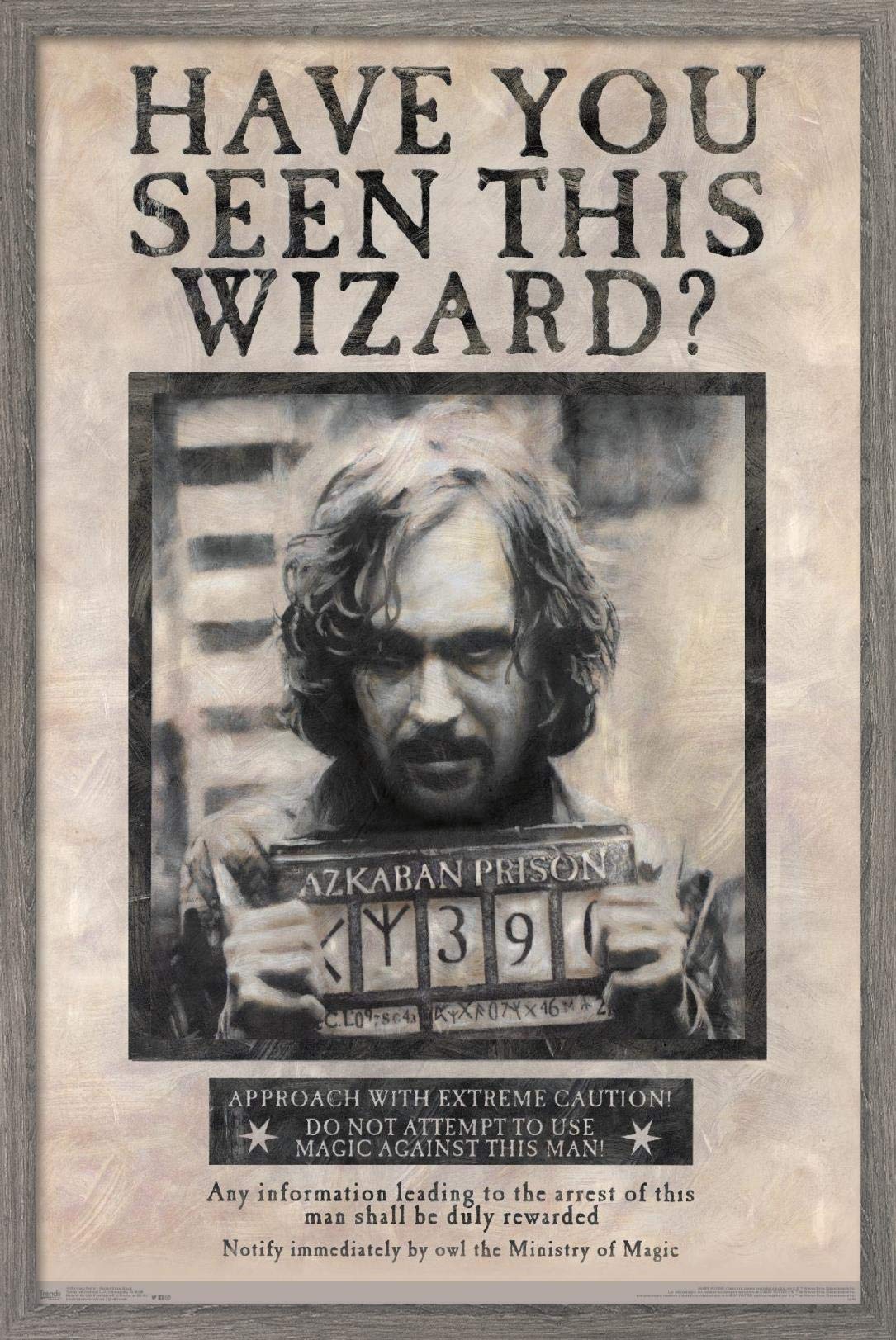 Trends International The Wizarding World: Harry Potter - Sirius Black Wanted Poster Wall Poster, 22.375'' X 34'', Poster & Mount