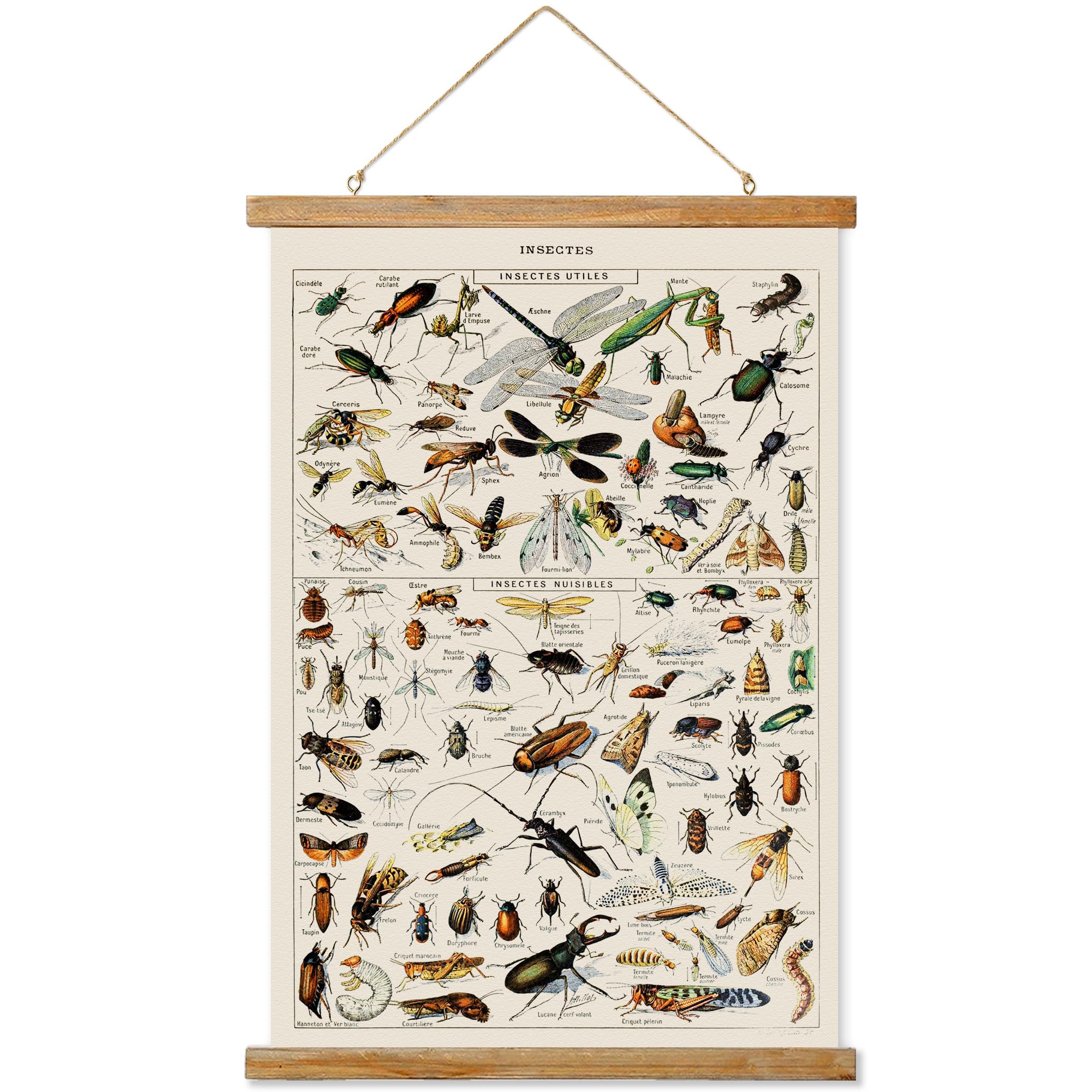 Ovfovy Vintage Insect Poster, Rustic Room Aesthetic, Retro Wall Art Prints Without Fading, Printed On Linen With Wood Frames, Re