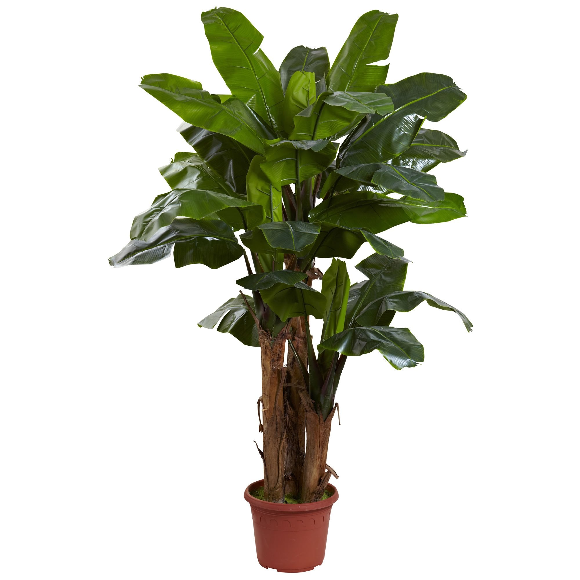 Nearly Natural 7ft. Giant Triple Stalk Banana Tree UV Resistant (Indoor/Outdoor)