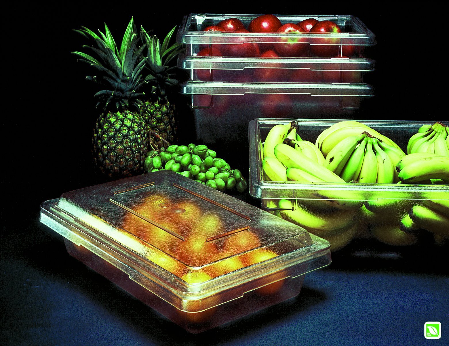 Rubbermaid Commercial Products Food Storage Box/Tote For Restaurant/Kitchen/Cafeteria, 2 Gallon, White (Fg350700Wht)