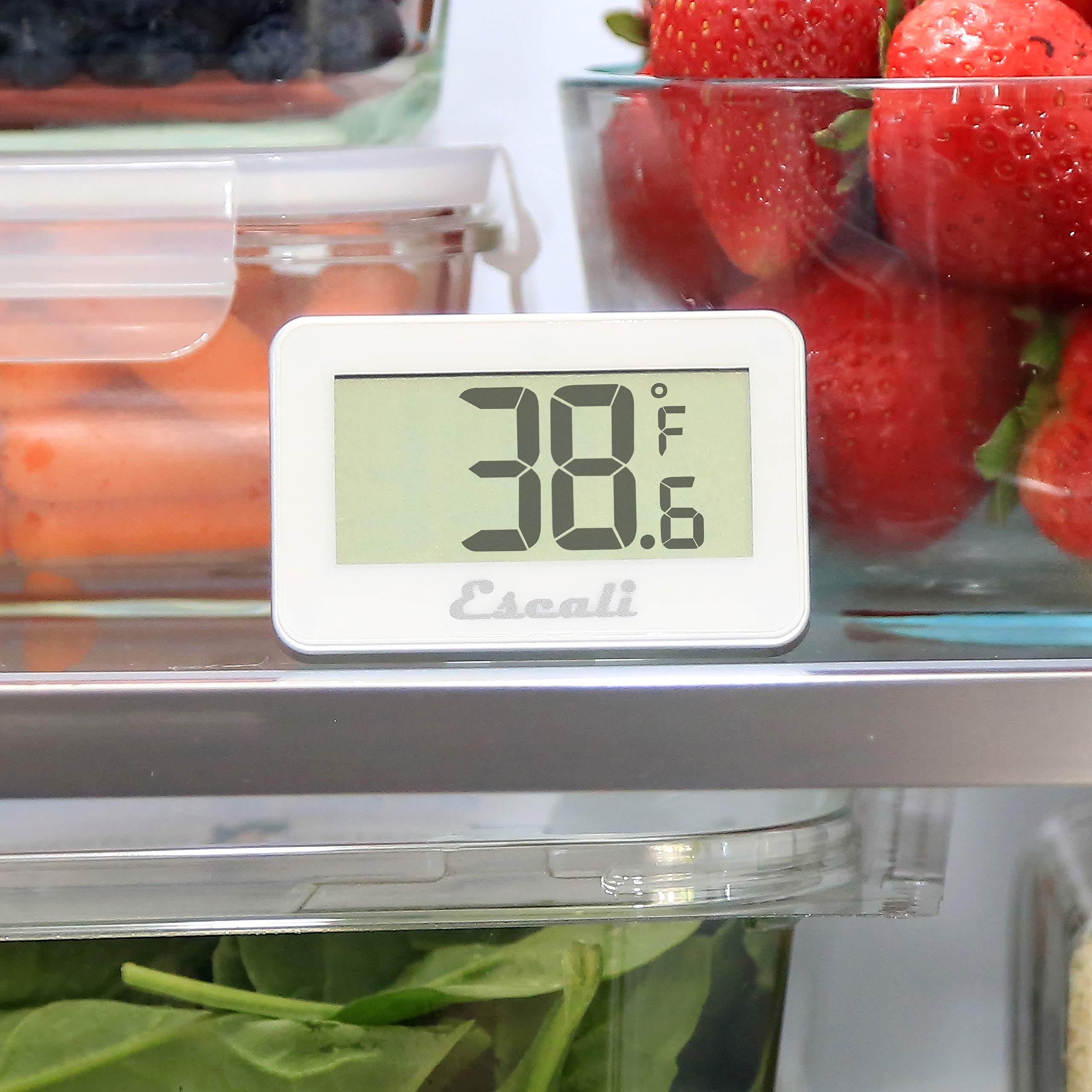San Jamar Thdgrf Digital Refrigerator/Freezer Thermometer