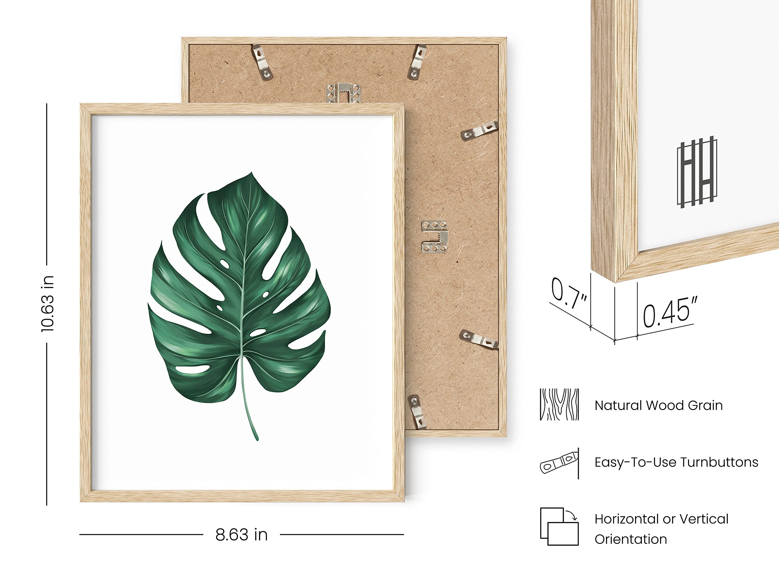 Haus And Hues Plant Wall Art - Botanical Prints Wall Art, Green Wall Art Collection Set Plant Pictures Wall Art, Leaves Painting