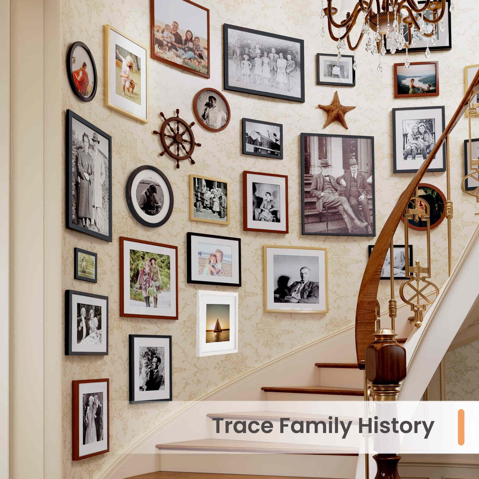 12x12 Picture Frame Set,Solid Wood,Not Glass,Display Pictures 8x8,10x10 with Mat or 12x12 Without Mat,Stable Sturdy Hanging Pict