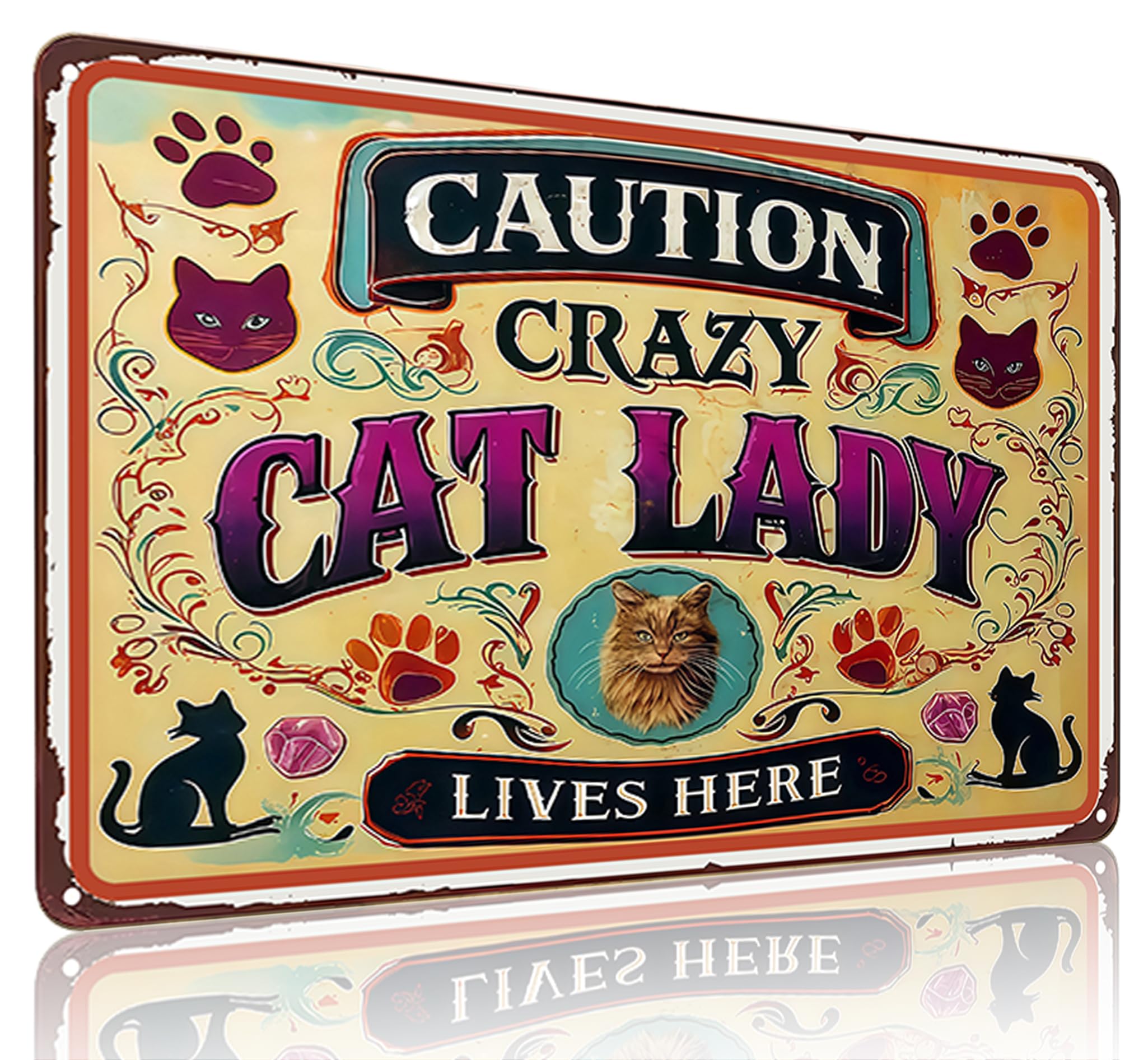 Funnysign Cat Lovers Gifts Caution Crazy Cat Lady Lives Here Tin Sign for Home Bedroom Living Room Bathroom Porch Decor 8 X 12 I
