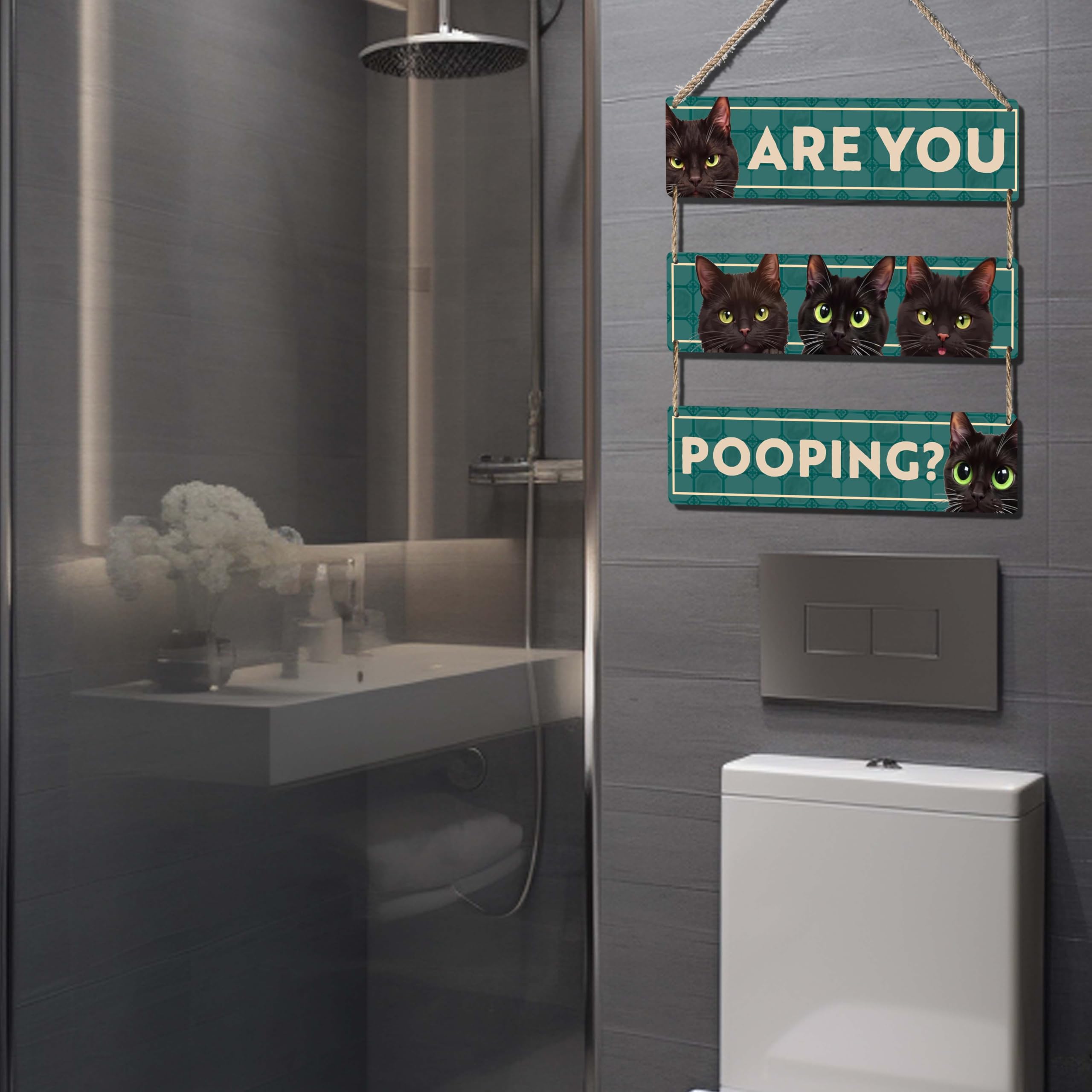 Are You Pooping Wooden Sign, Funny Decorations with Black Cats on Green Background, Rustic Plaque 11.8x3.2 Inches Each, Fun Bath