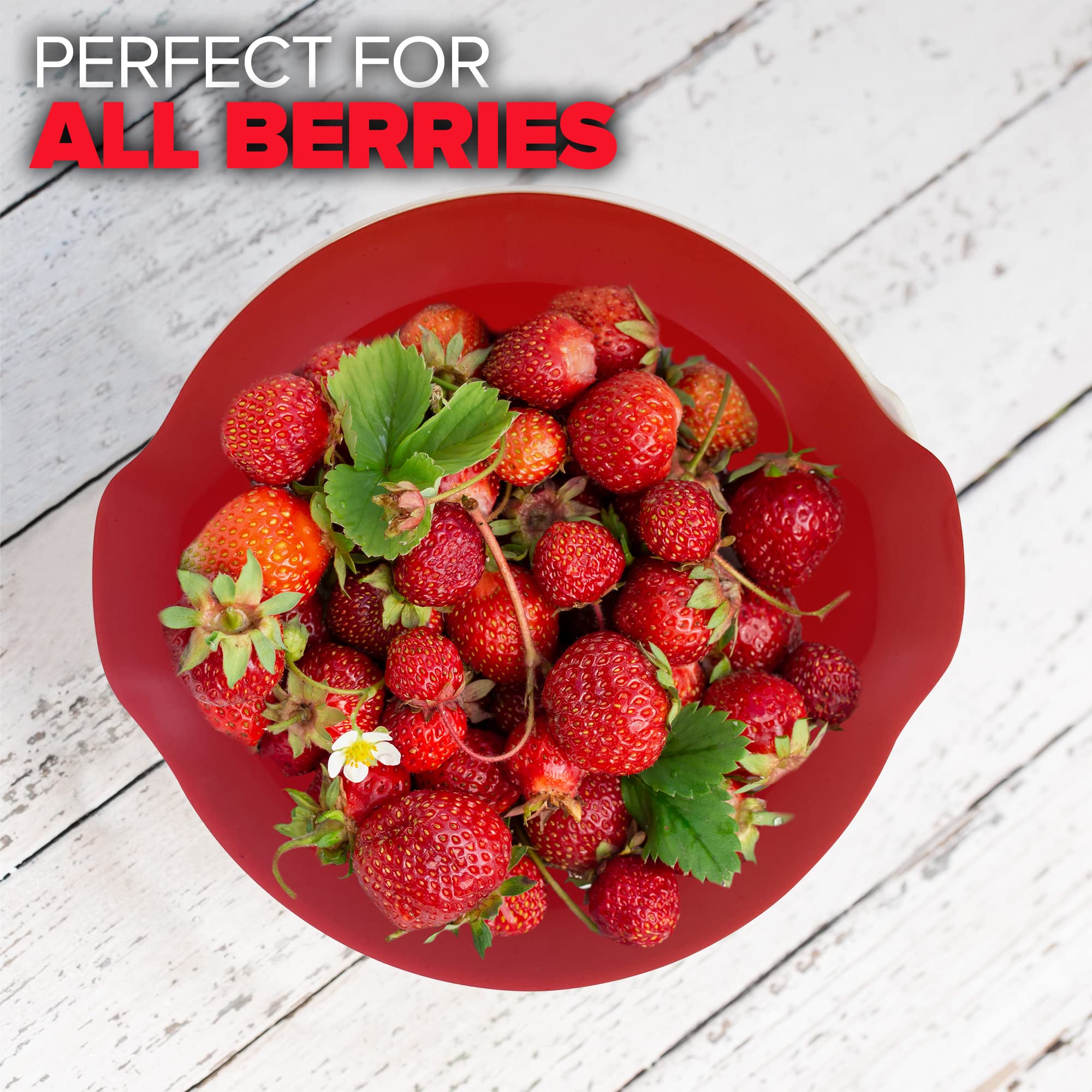 Strainer Colander Fruit 1 Quart Bowl Small Detachable 2 Piece Set Handle Berries Vegetables Exultimate