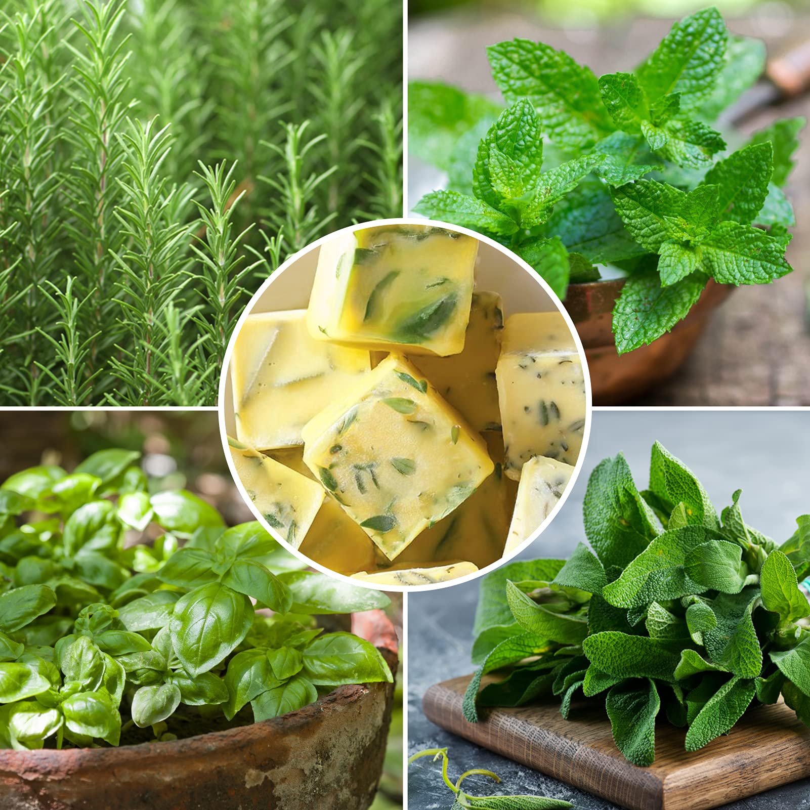 AIERSA 2Pcs Silicone Molds for Herb-Infused Oil Cubes  32 Cavity Candy Gummy Molds with Lids & 2 Droppers for DIY 5/8x5/8x5/8in Square Gummies  Homemade Herbal Blocks  Jello  Pralines Caramels