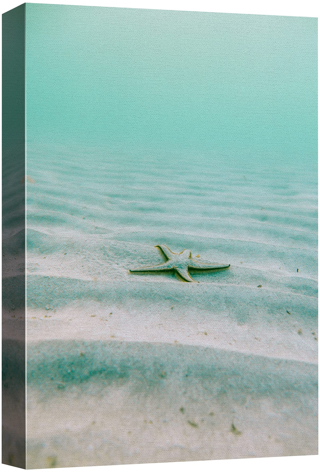 Signford Canvas Print Wall Art Sea Star Under The Teal Ocean Sea Nature Wilderness Photography Realism Nautical Scenic Relax/Cal