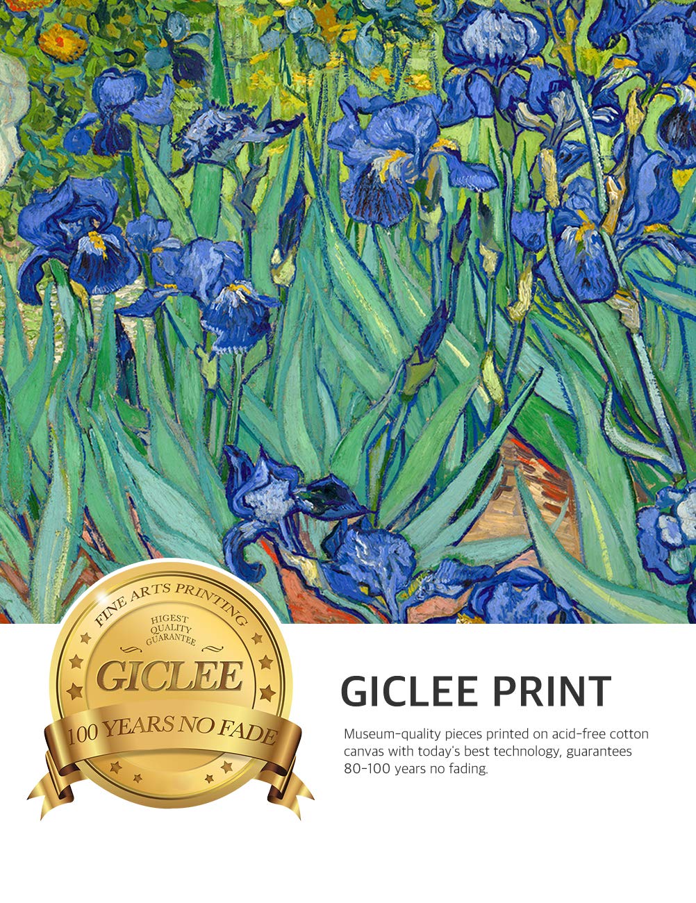 Decorarts - Irises In The Garden, Vincent Van Gogh Art Reproduction. Giclee Prints Match With Golden Framed For Wall Decor. Pict