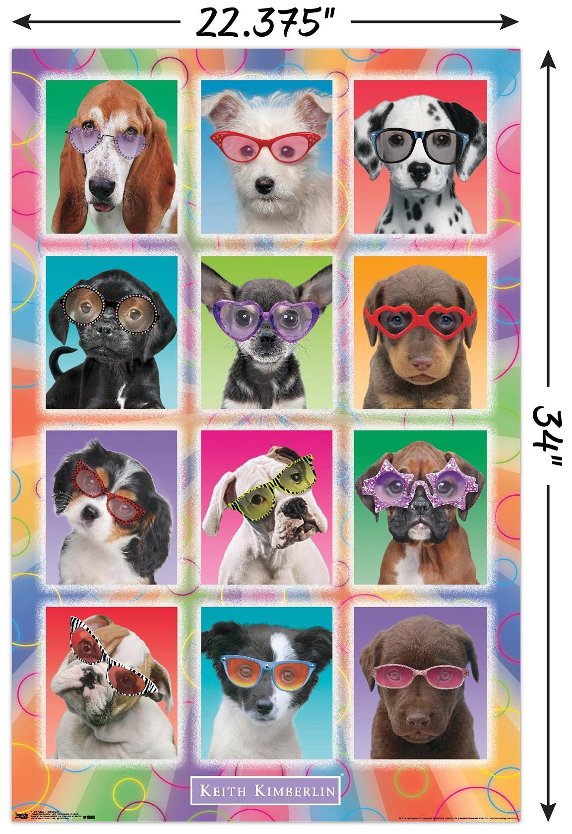 Trends International Keith Kimberlin - Puppies - Sunglasses Wall Poster, 22.375'' X 34'', Unframed Version