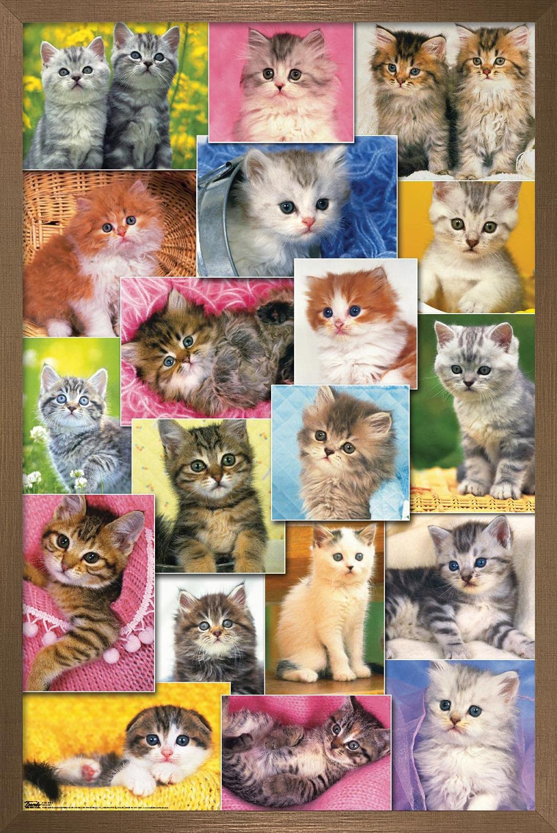 Trends International Keith Kimberlin - Kittens Collage Wall Poster, 14.725'' X 22.375'', Bronze Framed Version