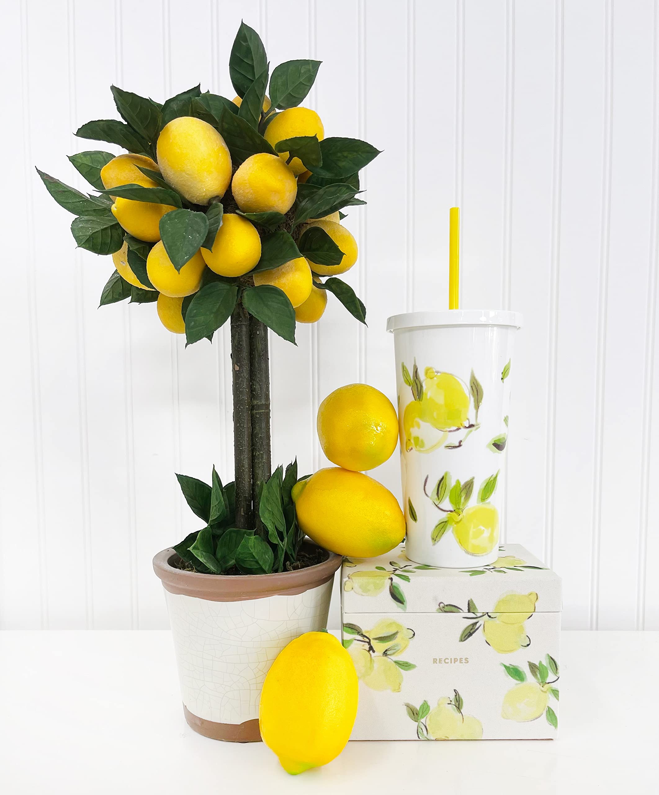 Kate Spade New York Insulated Tumbler with Reusable Straw  20 Ounce Travel Cup with Lid  Lemons