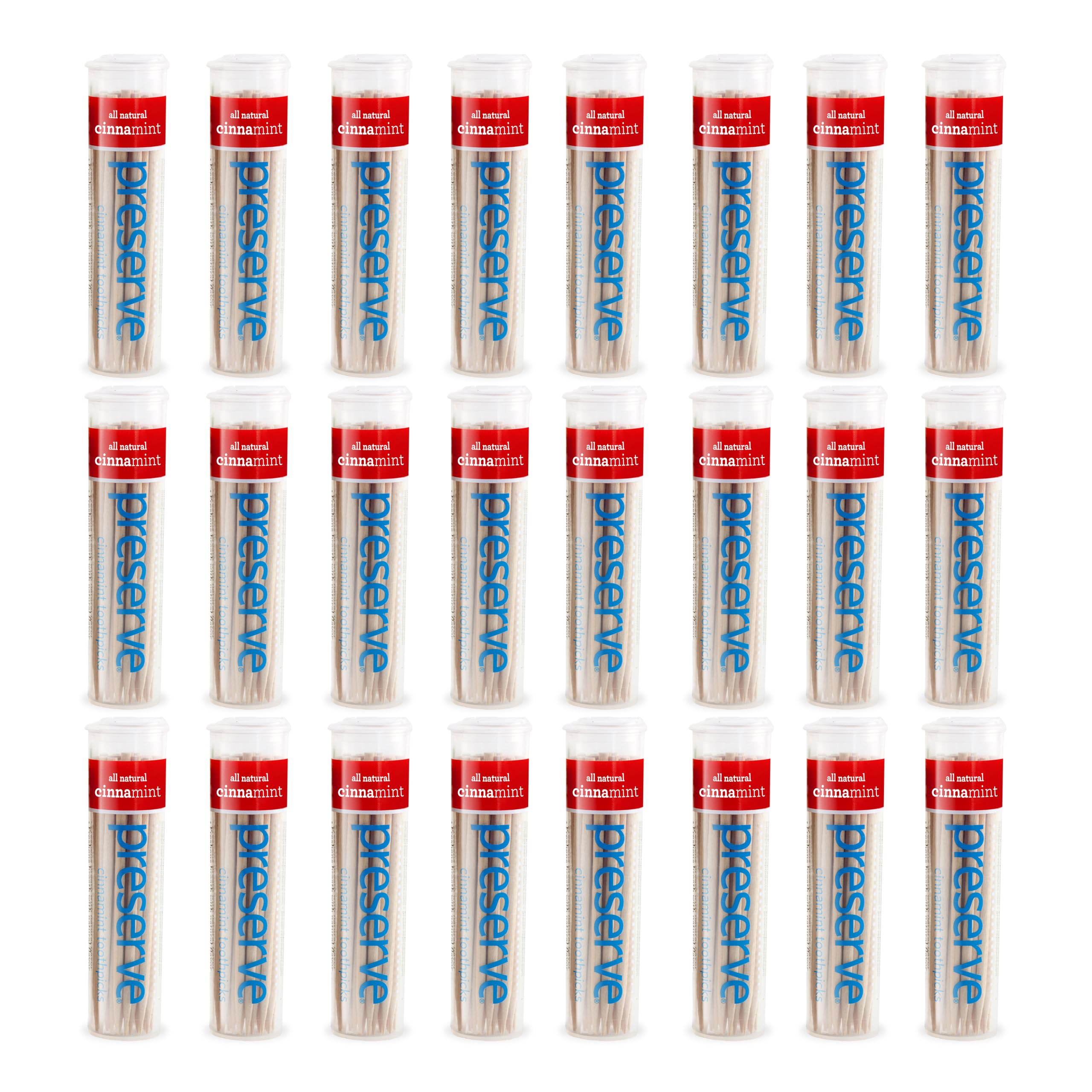 Preserve Toothpicks, Cinnamint, 24 Canisters