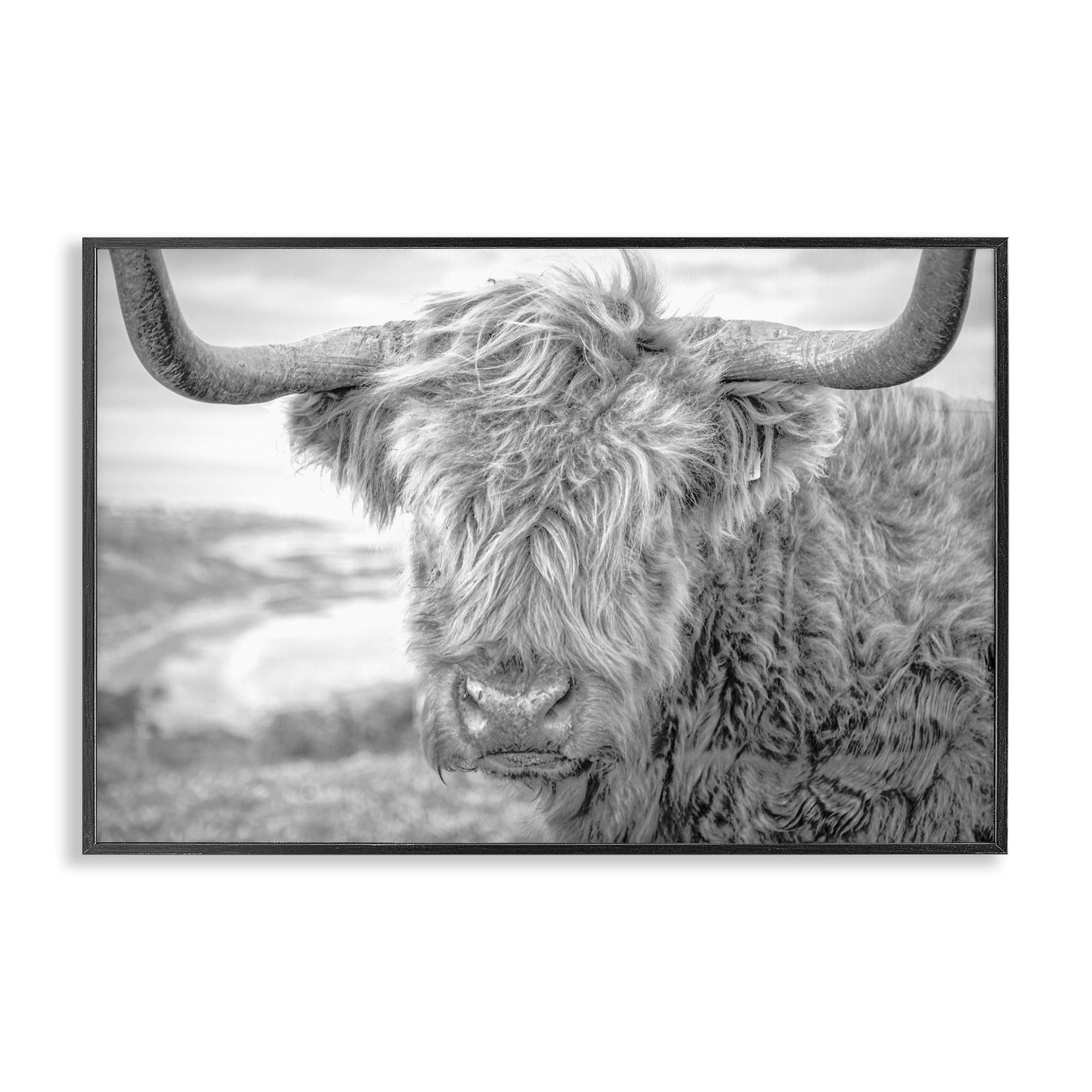Stupell Industries Close Up Fuzzy Cattle Framed Giclee Art Design By Jasper Huish