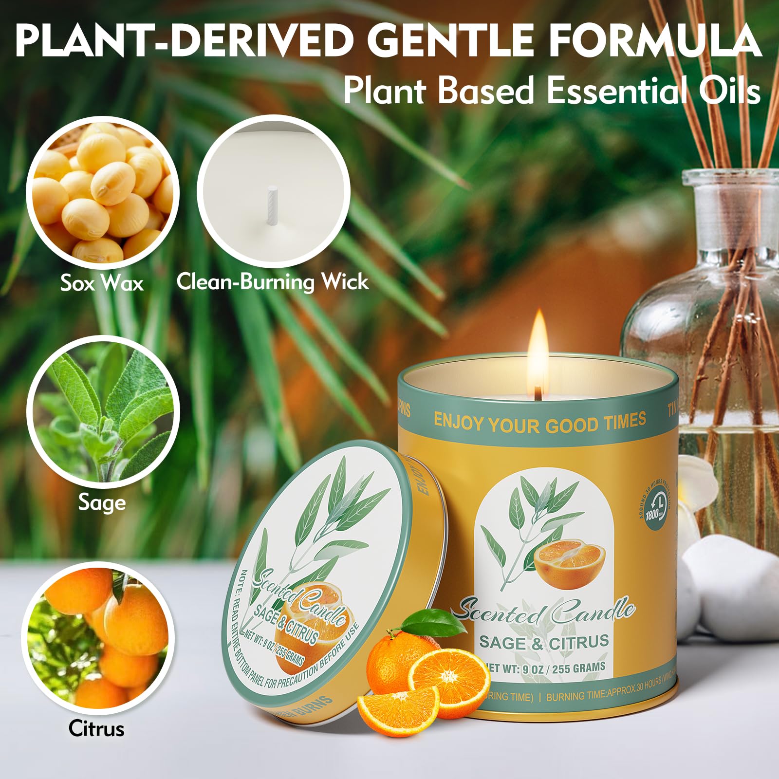 2 Pack Scented Candles (90 Total Burn Hours) - Soy Wax Candles 9 oz Each in Tin - Long Lasting Aromatherapy Candle Gift Set (Sag