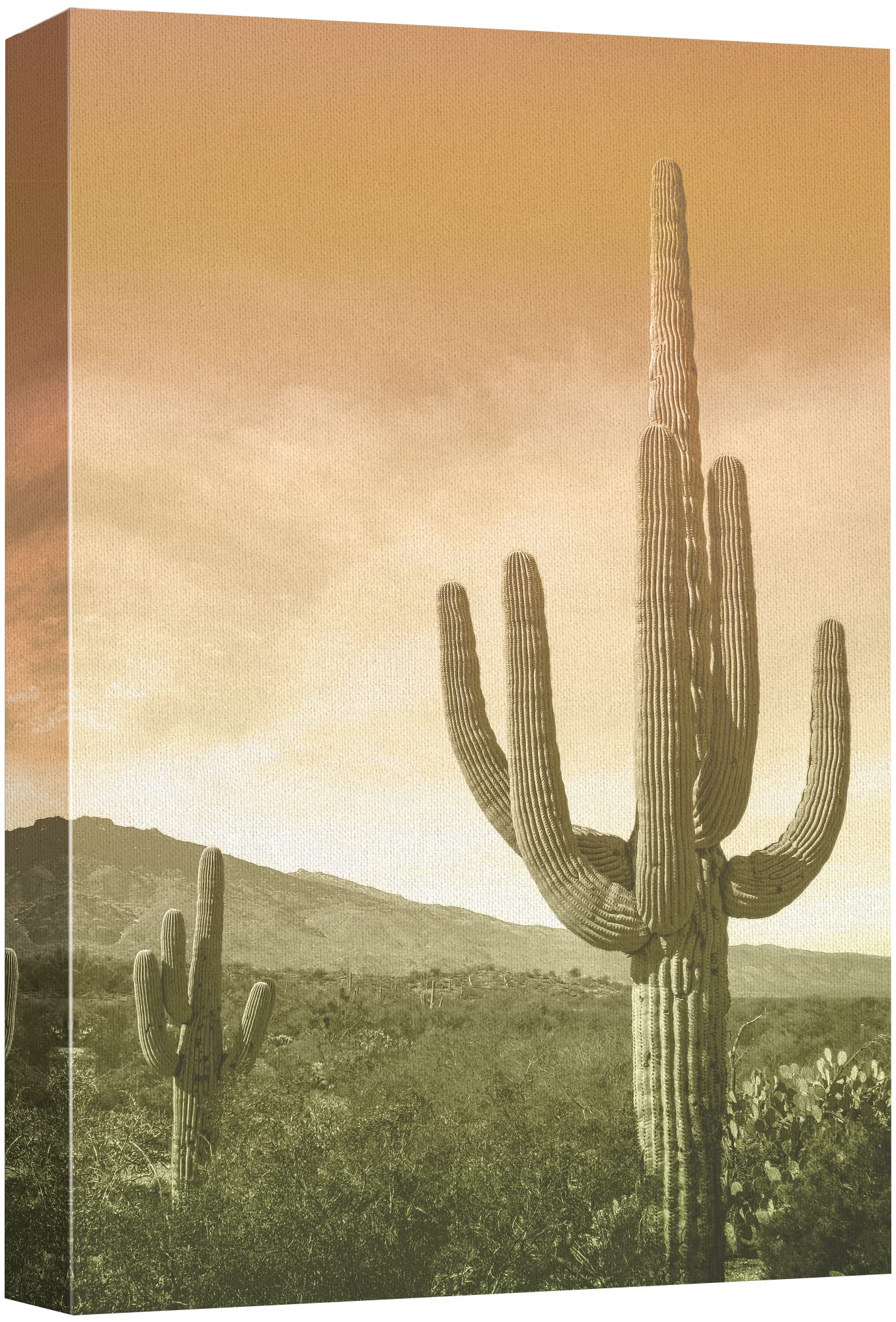 Wall26 Canvas Print Wall Art Vintage Desert Brush Cactus Landscape Nature Wilderness Photography Realism Decorative Landscape Re