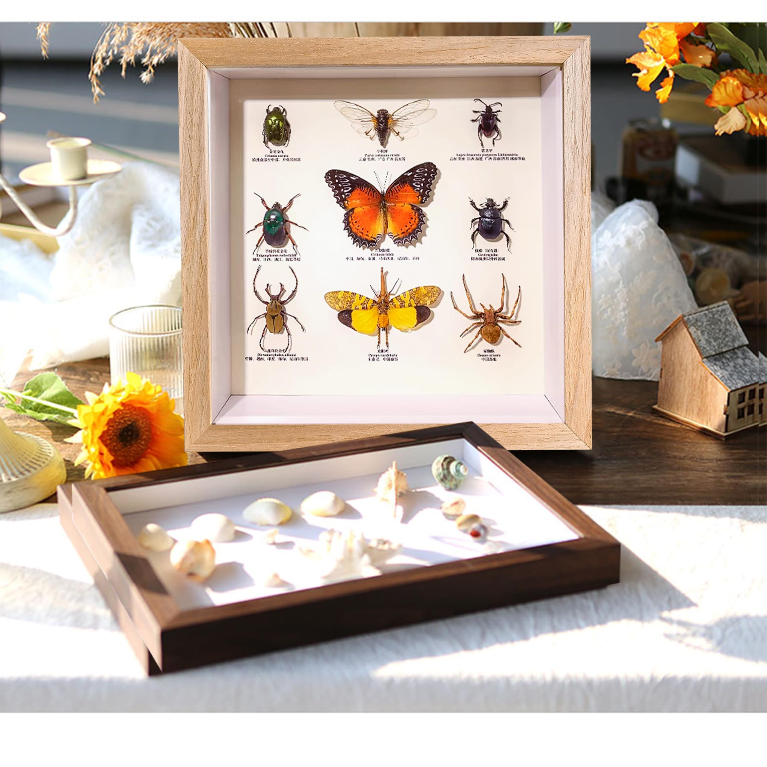 Dohomi 8x8 Shadow Box Frame Natural Wood Shadow Box Display Case 3 Pack Picture Frames Glass Surface Internal Depth 0.6 inch for